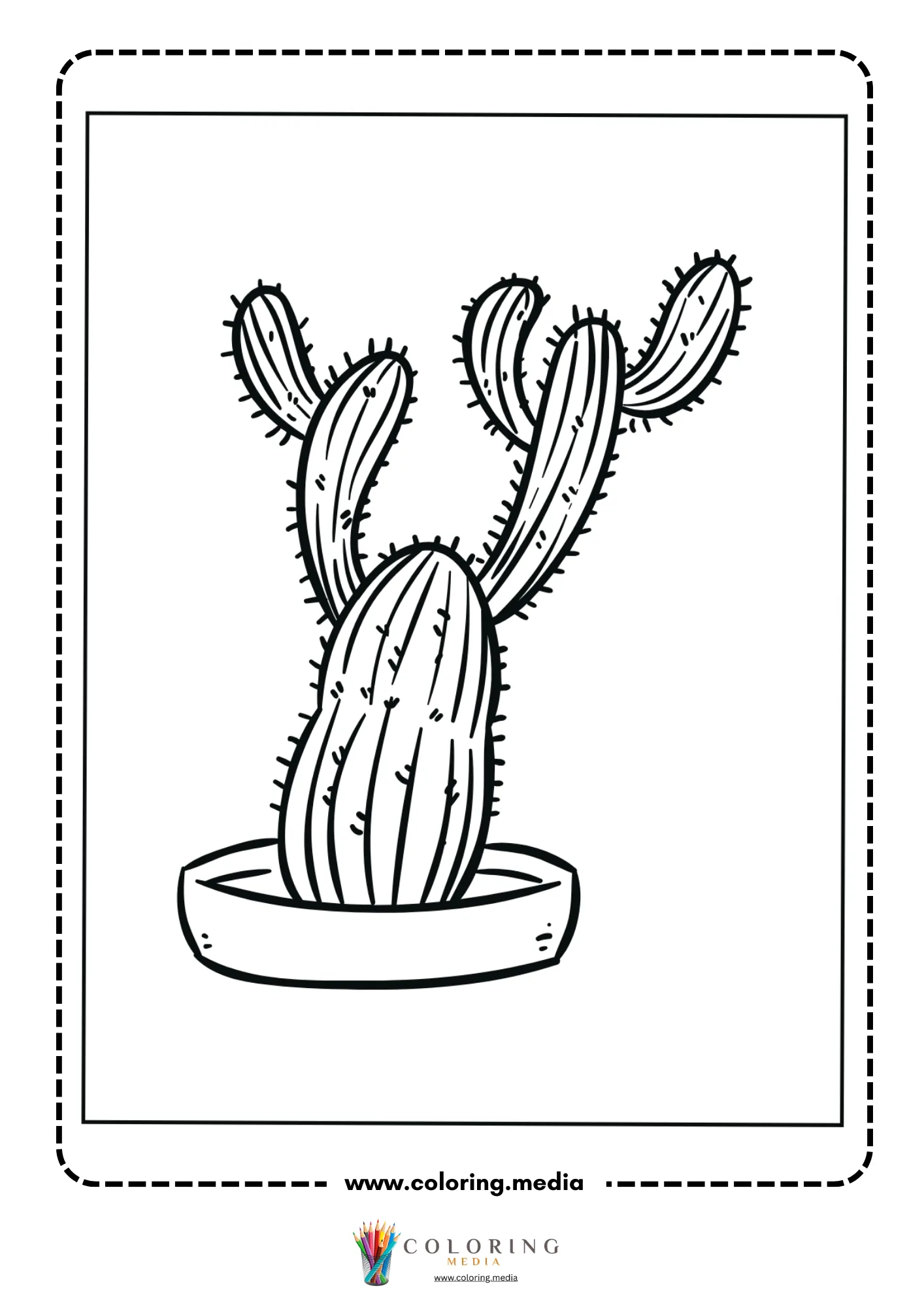 Prickly pear cactus in zigzag flowerpot