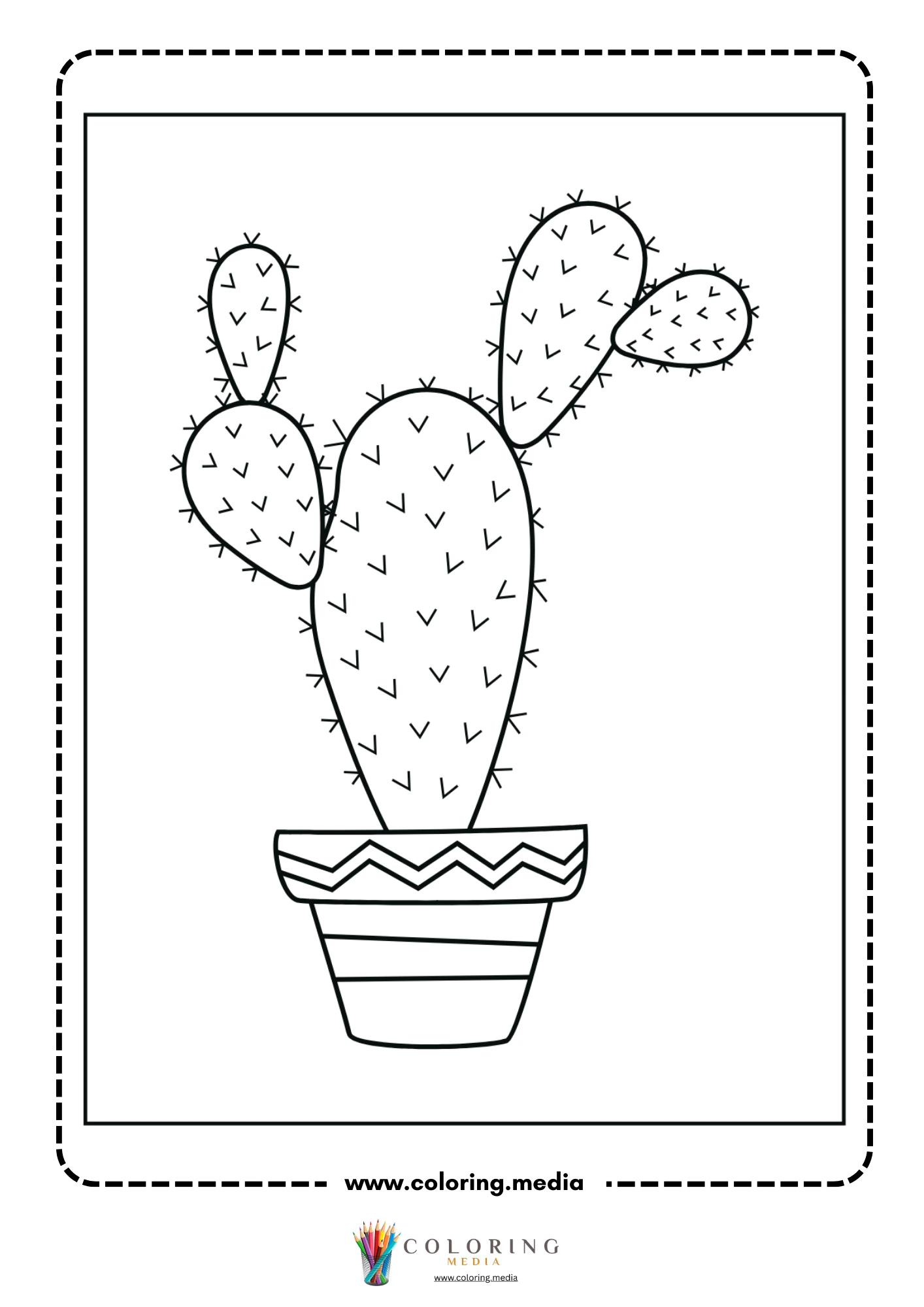 Round cactus in scalloped planter