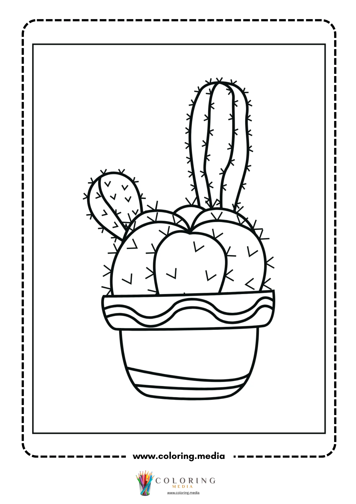 Mixed cactus planter with round pads
