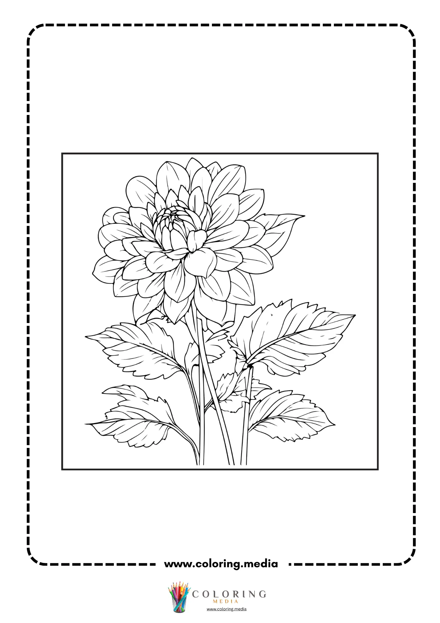 Dahlia flower with leafy stem