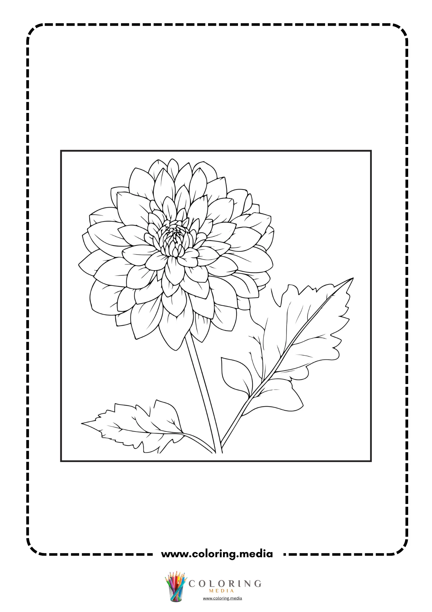 Large dahlia blossom with surrounding leaves