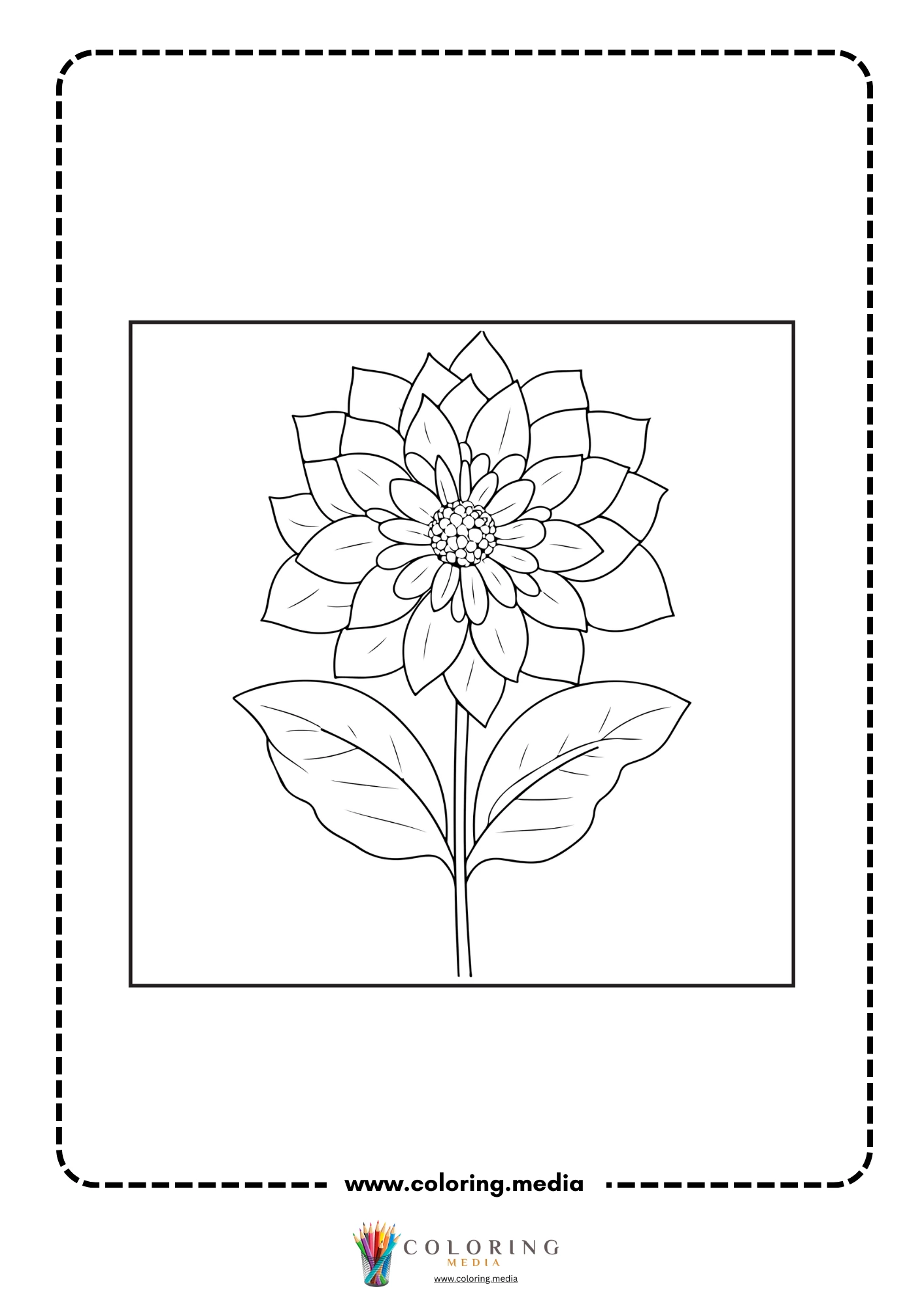 Angled dahlia blossom with leafy stem