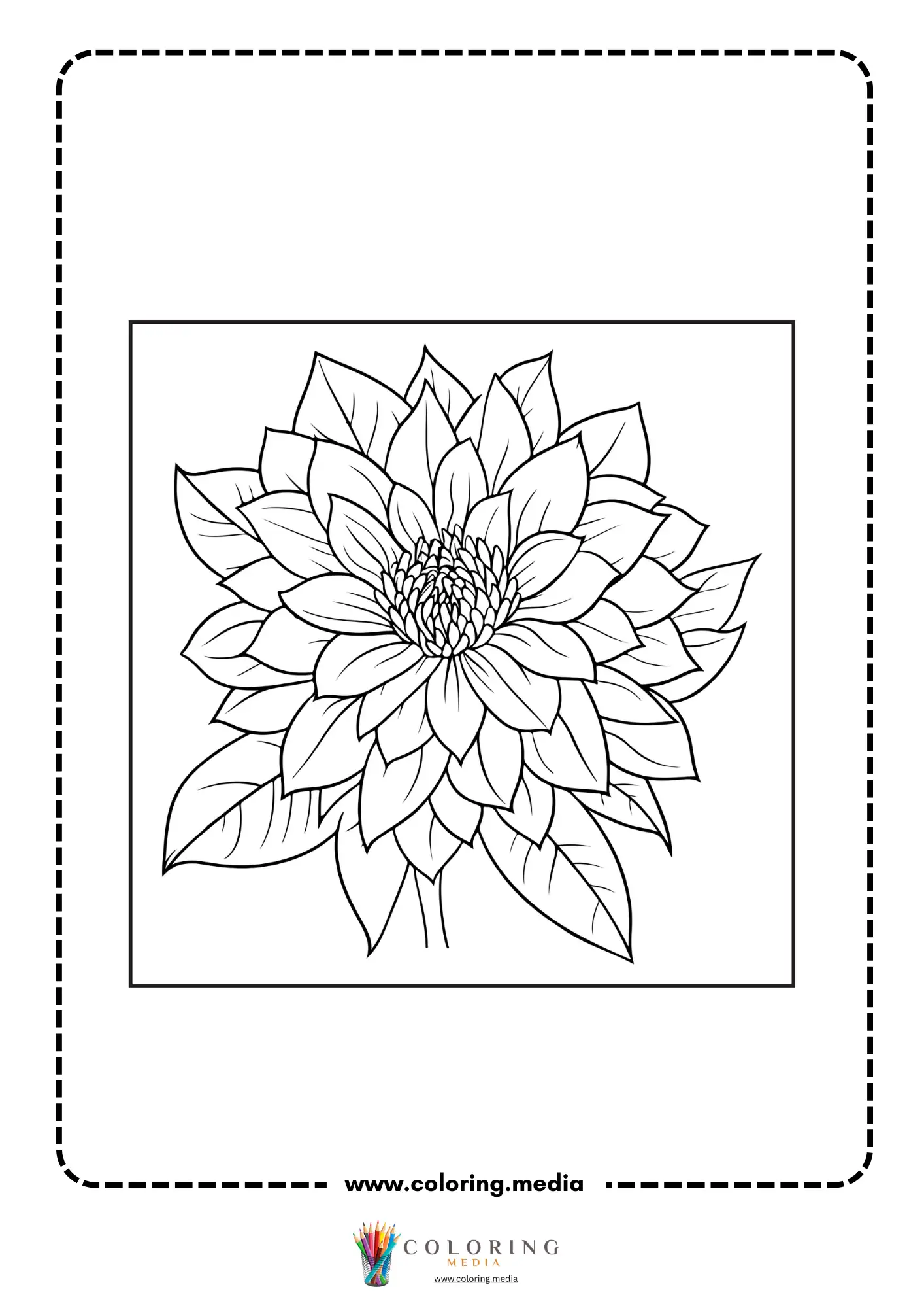 Detailed dahlia flower head coloring page
