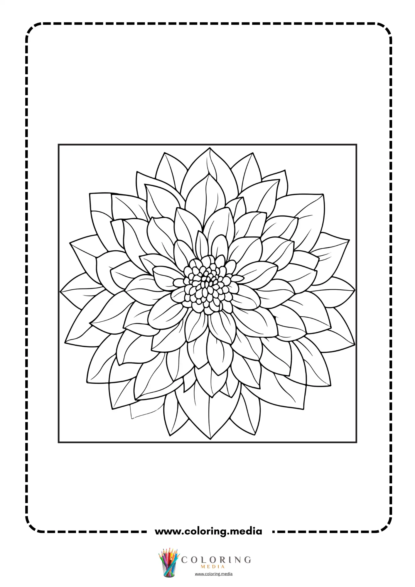Simple dahlia flower on stem
