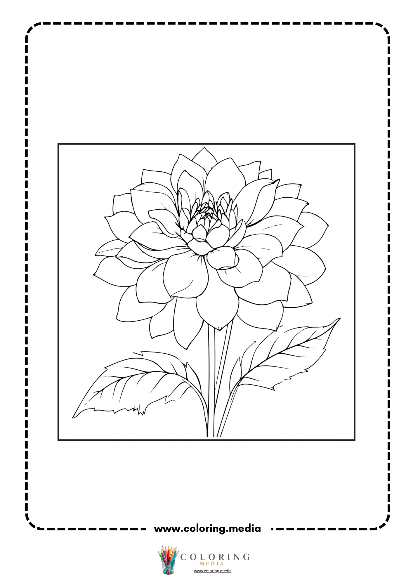 Close-up dahlia blossom with pointed petals