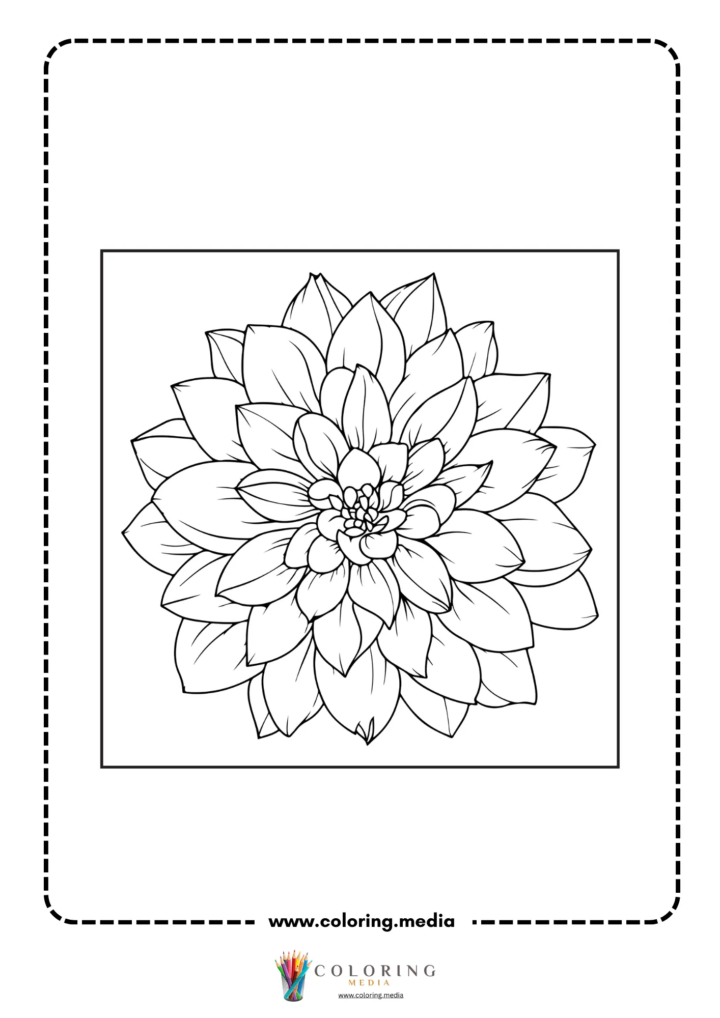 Upright dahlia flower with leafy stem