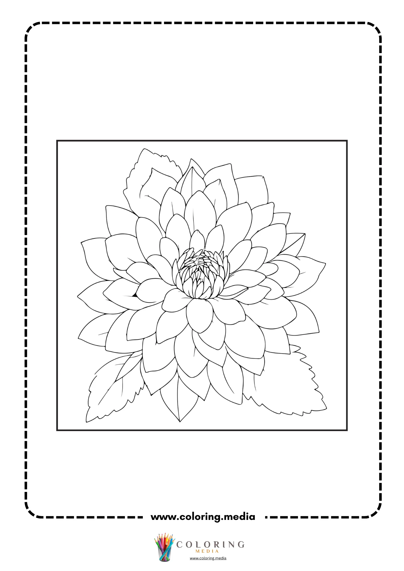 Single dahlia flower on leafy stem