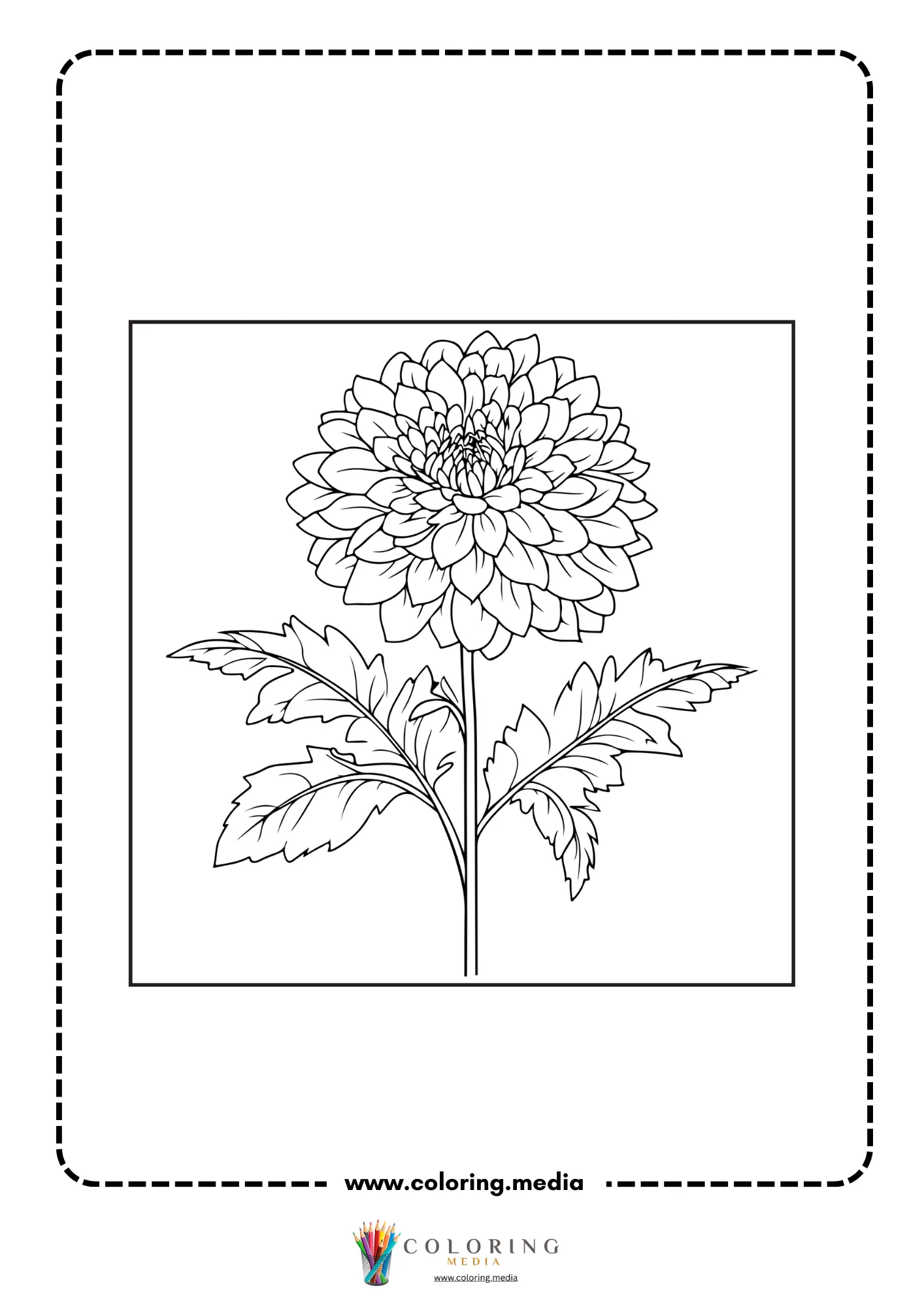 Detailed dahlia flower head in frame