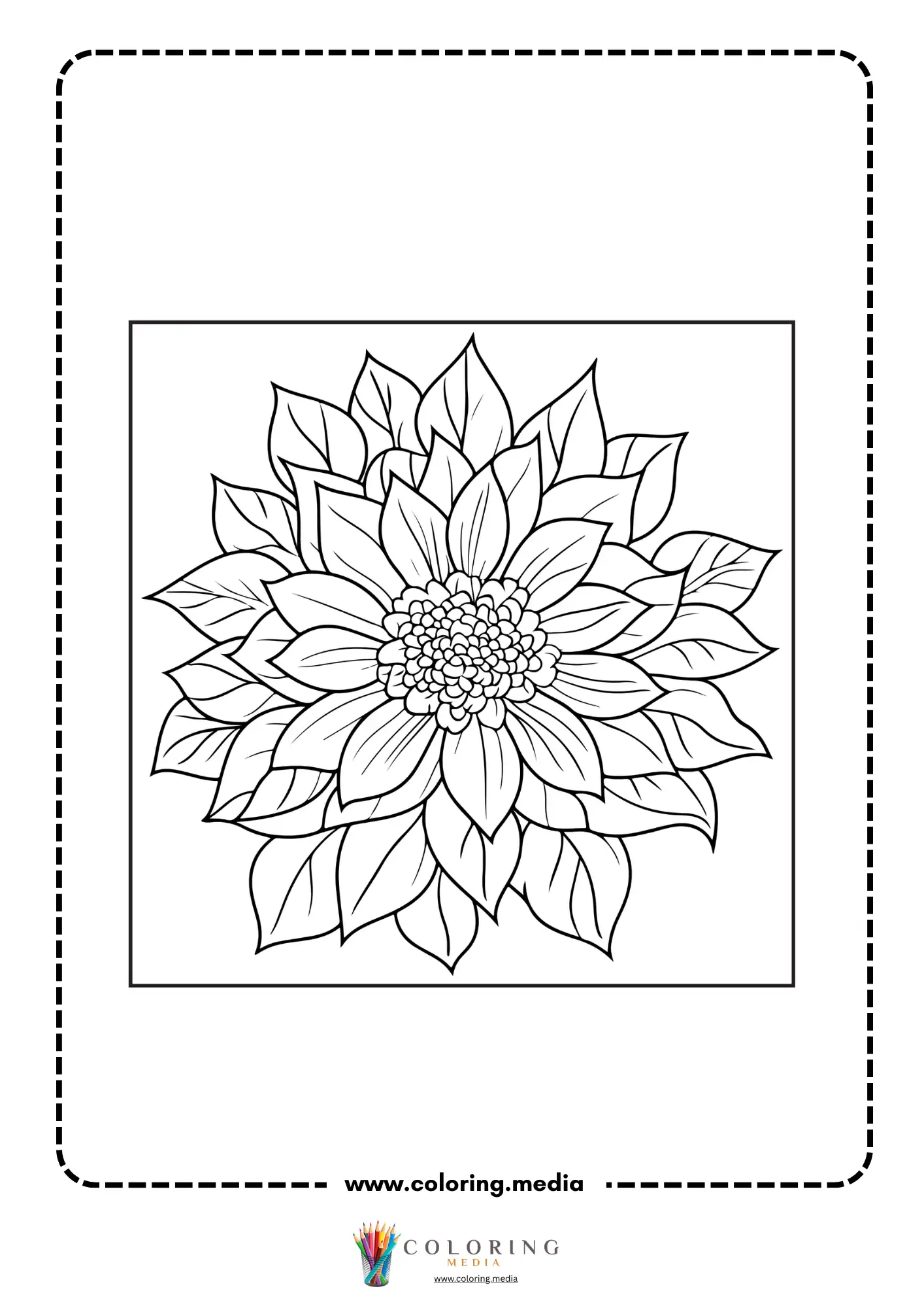Layered dahlia blossom with detailed petals