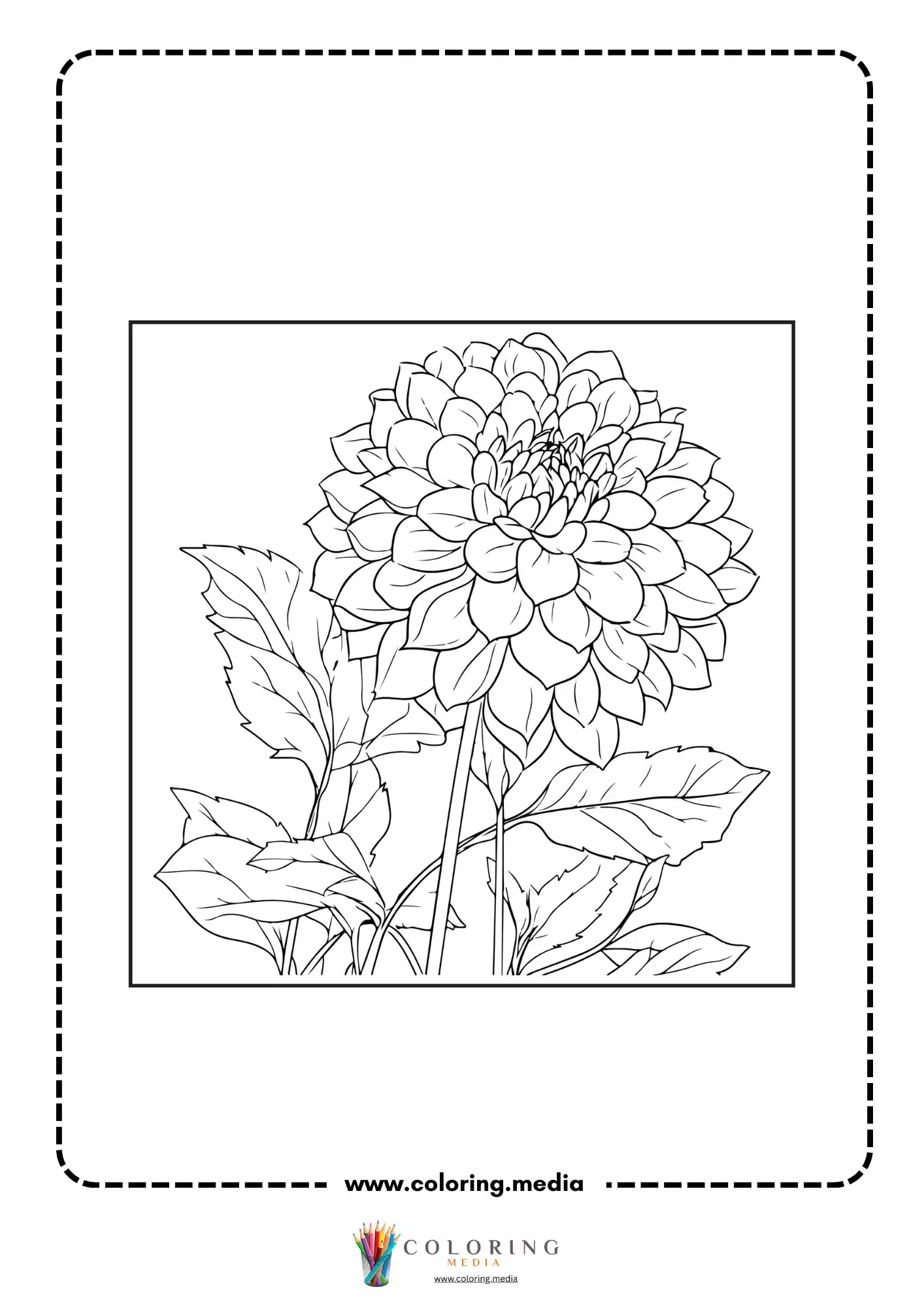 Dahlia flower with leaves around base