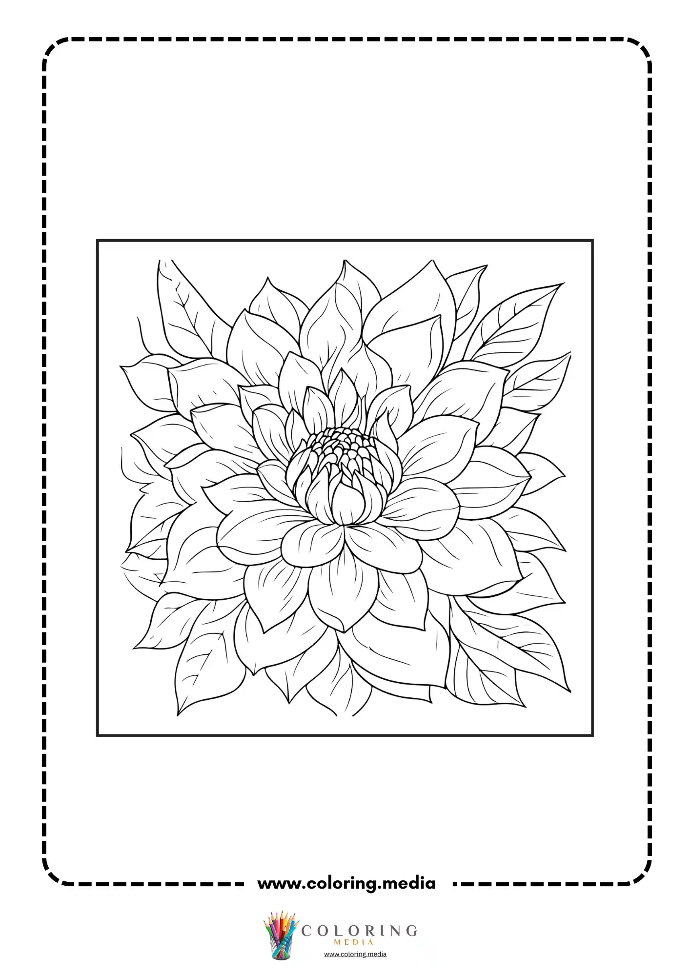Dahlia flower on stem with serrated leaves