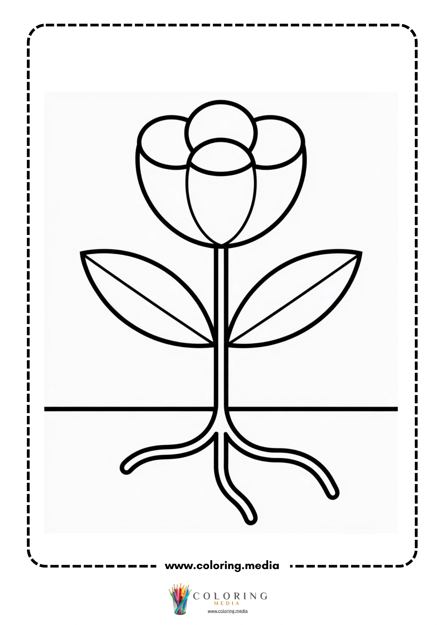 Simple flower showing roots and leaves