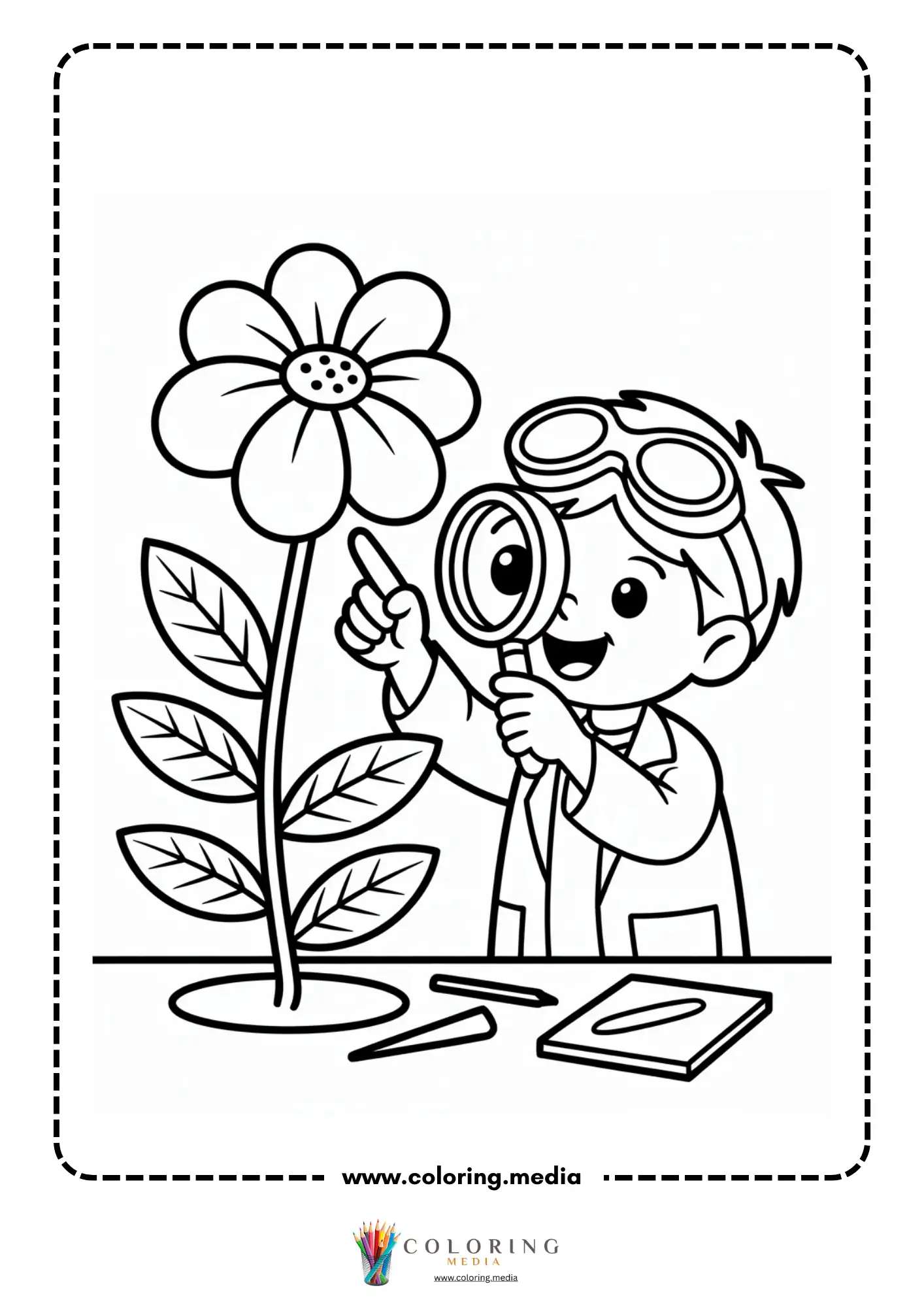 Child studying flower at desk