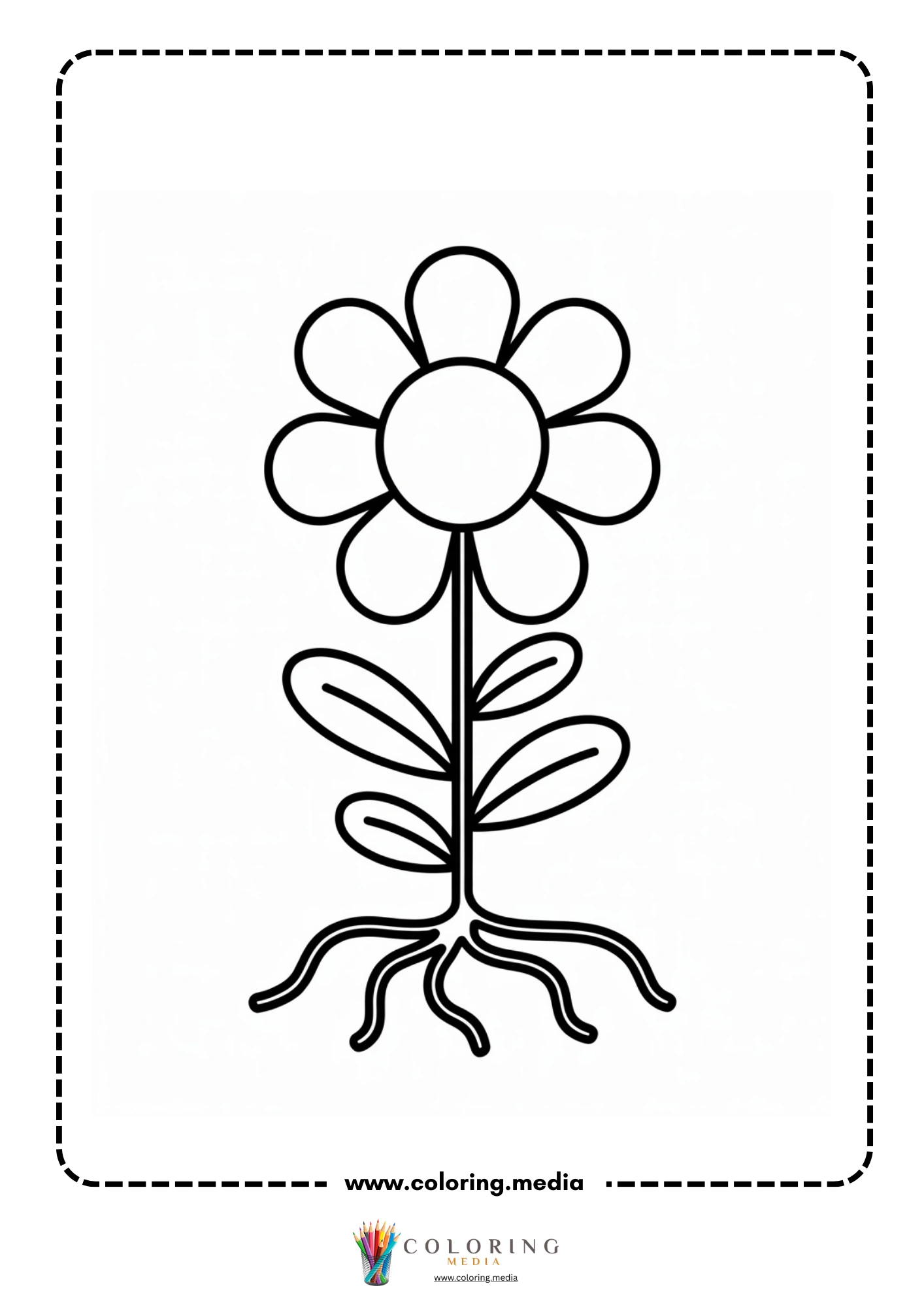Flower plant with many roots