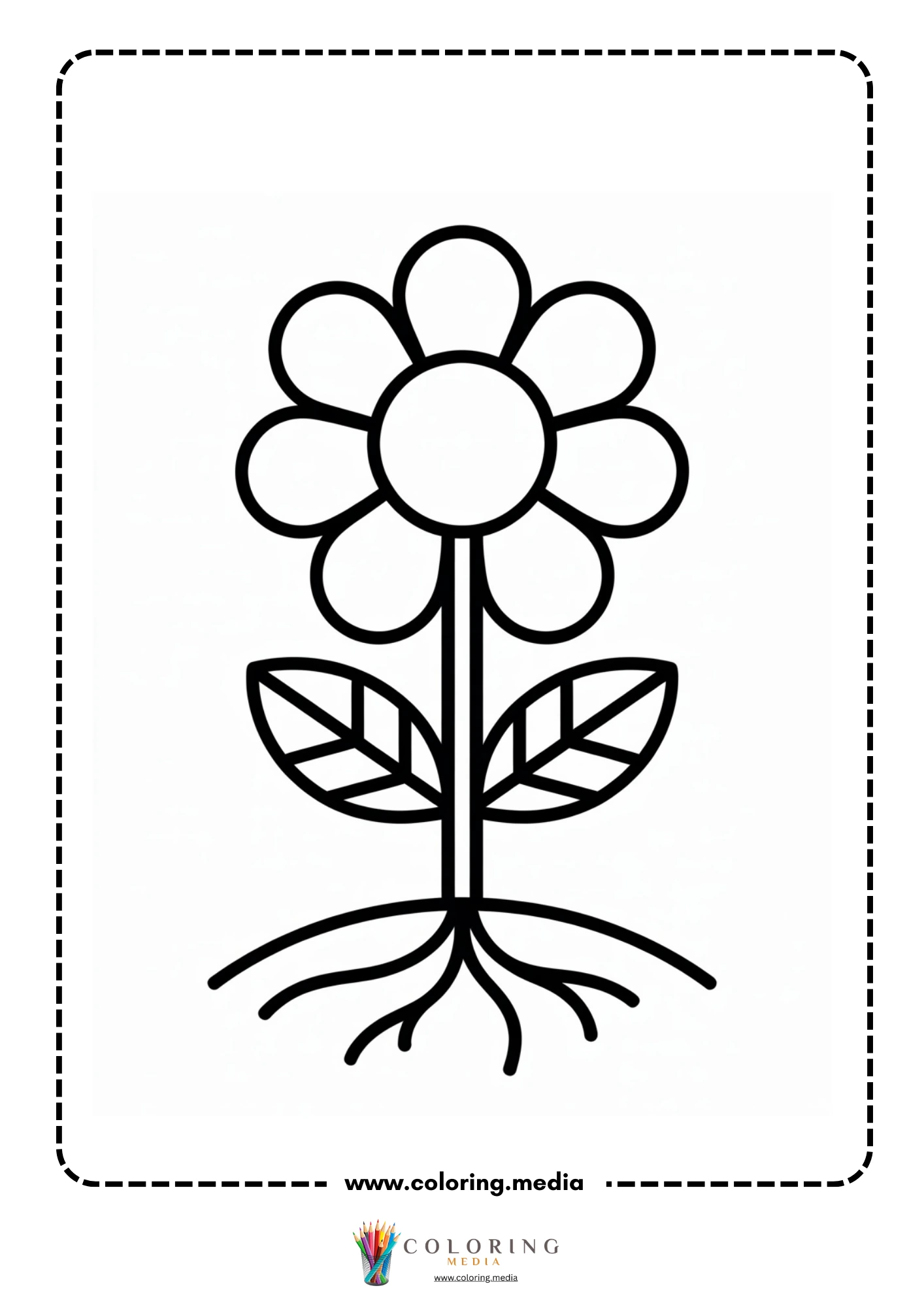 Open flower showing inner parts