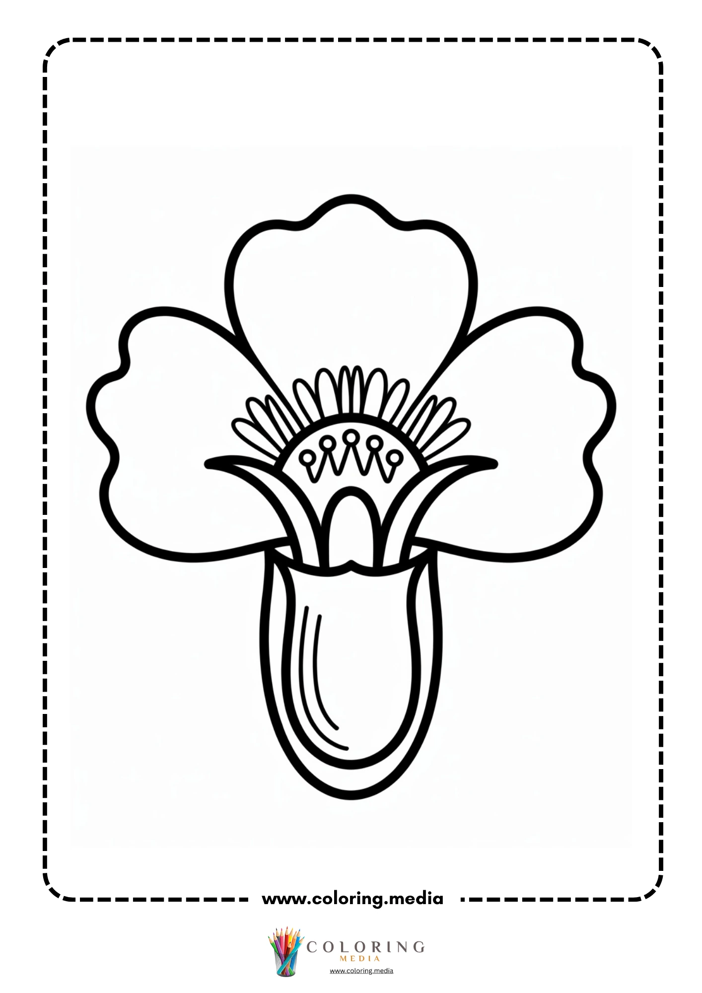 Labeled leaf stem and root parts
