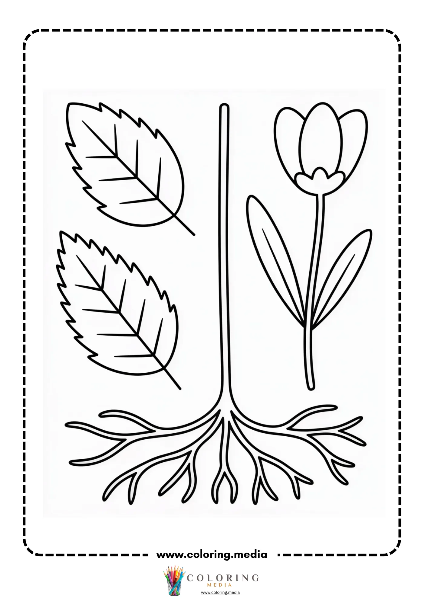 Girl pointing to flower parts