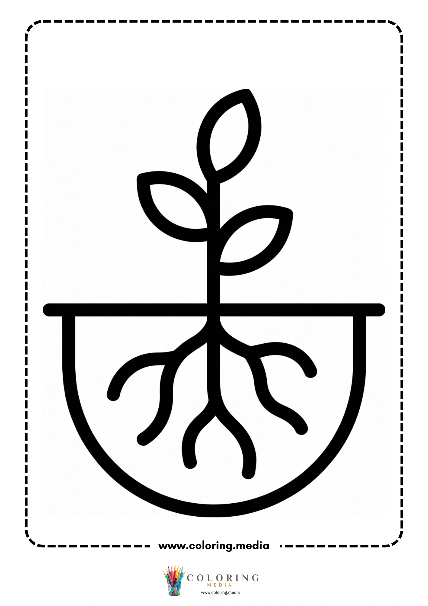Potted sprout with visible roots
