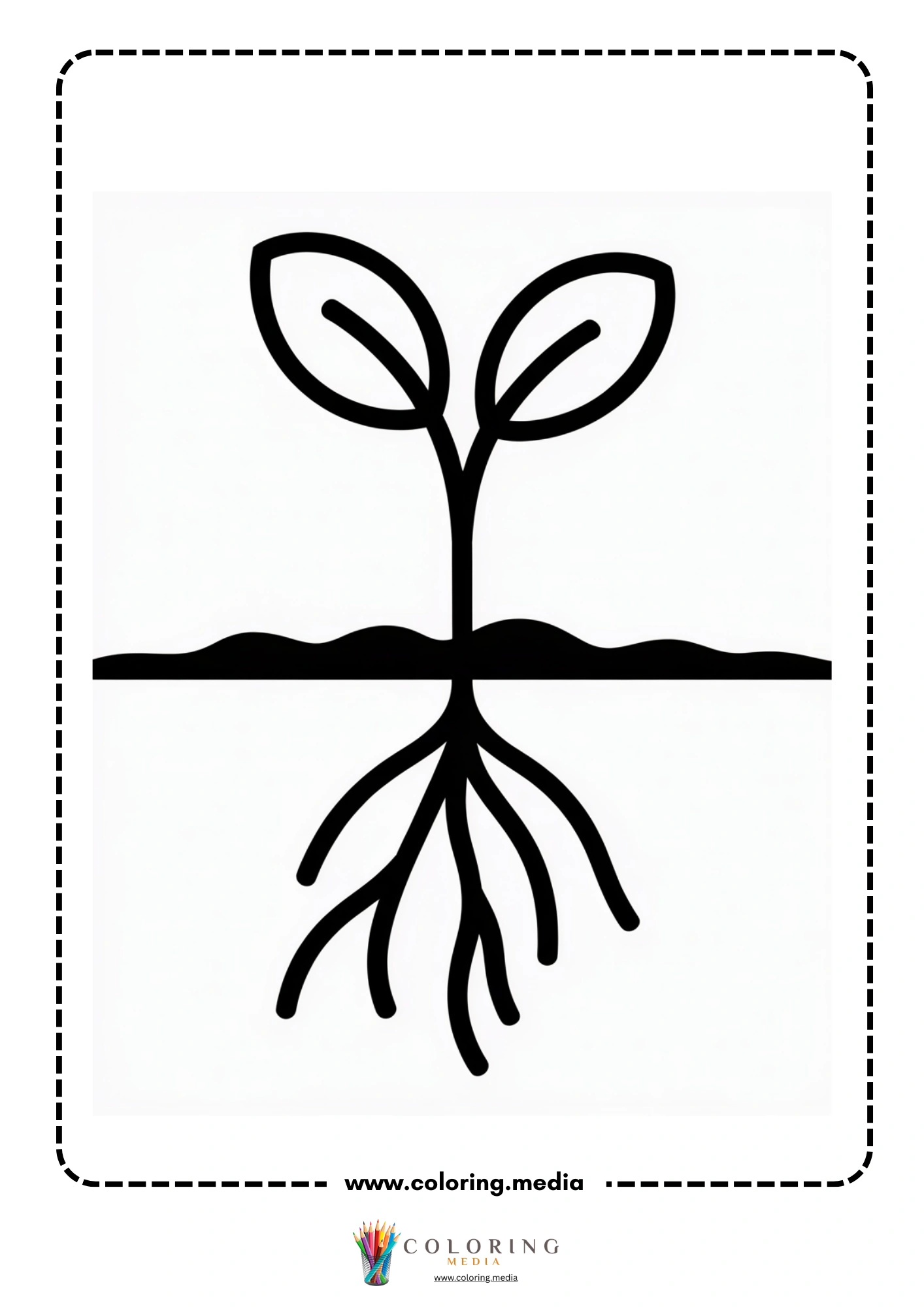 Seedling with roots below soil