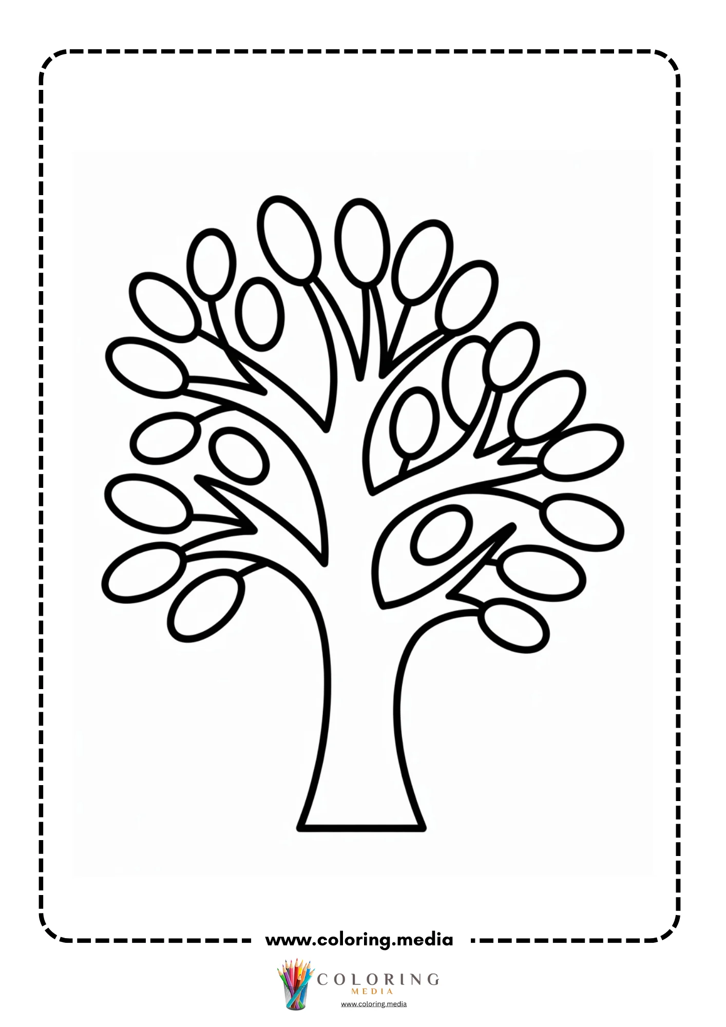 Branching plant with oval leaves