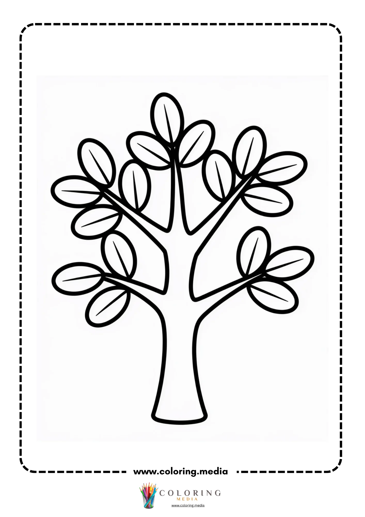 Leafy plant with branching stems