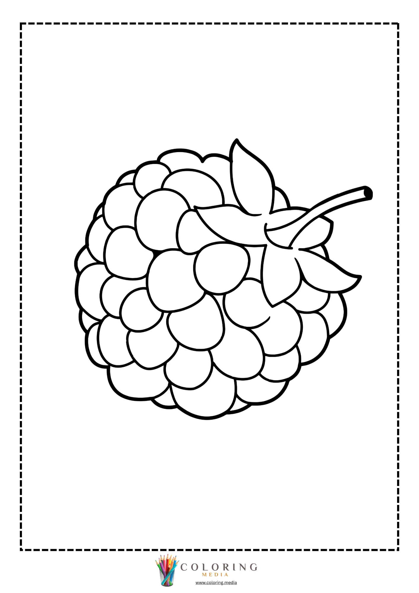 Raspberry with stem and leaf