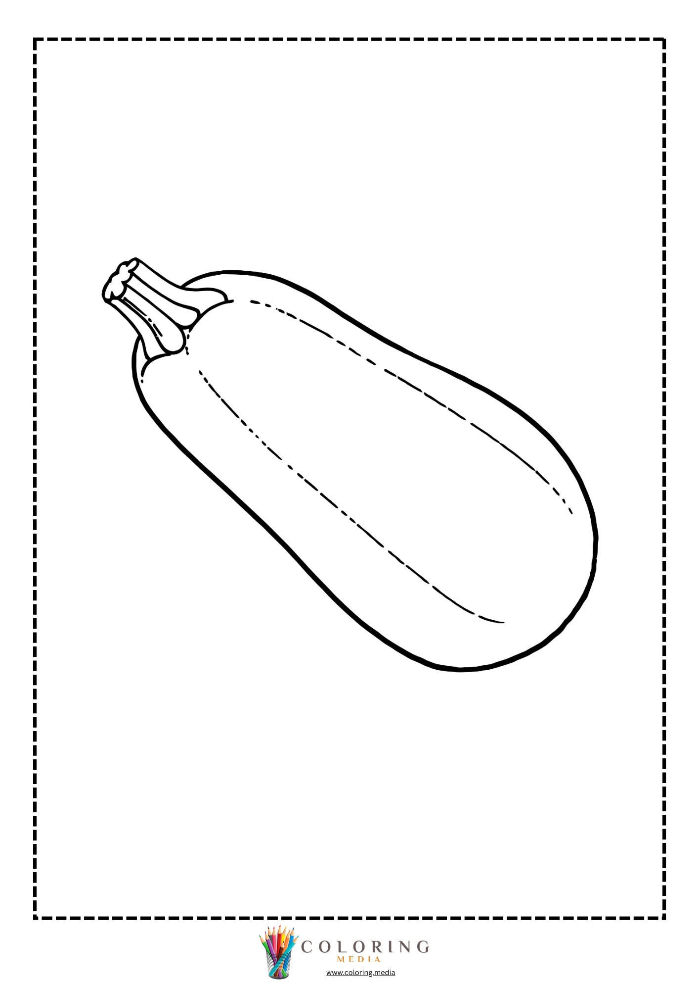 Long squash fruit with stem