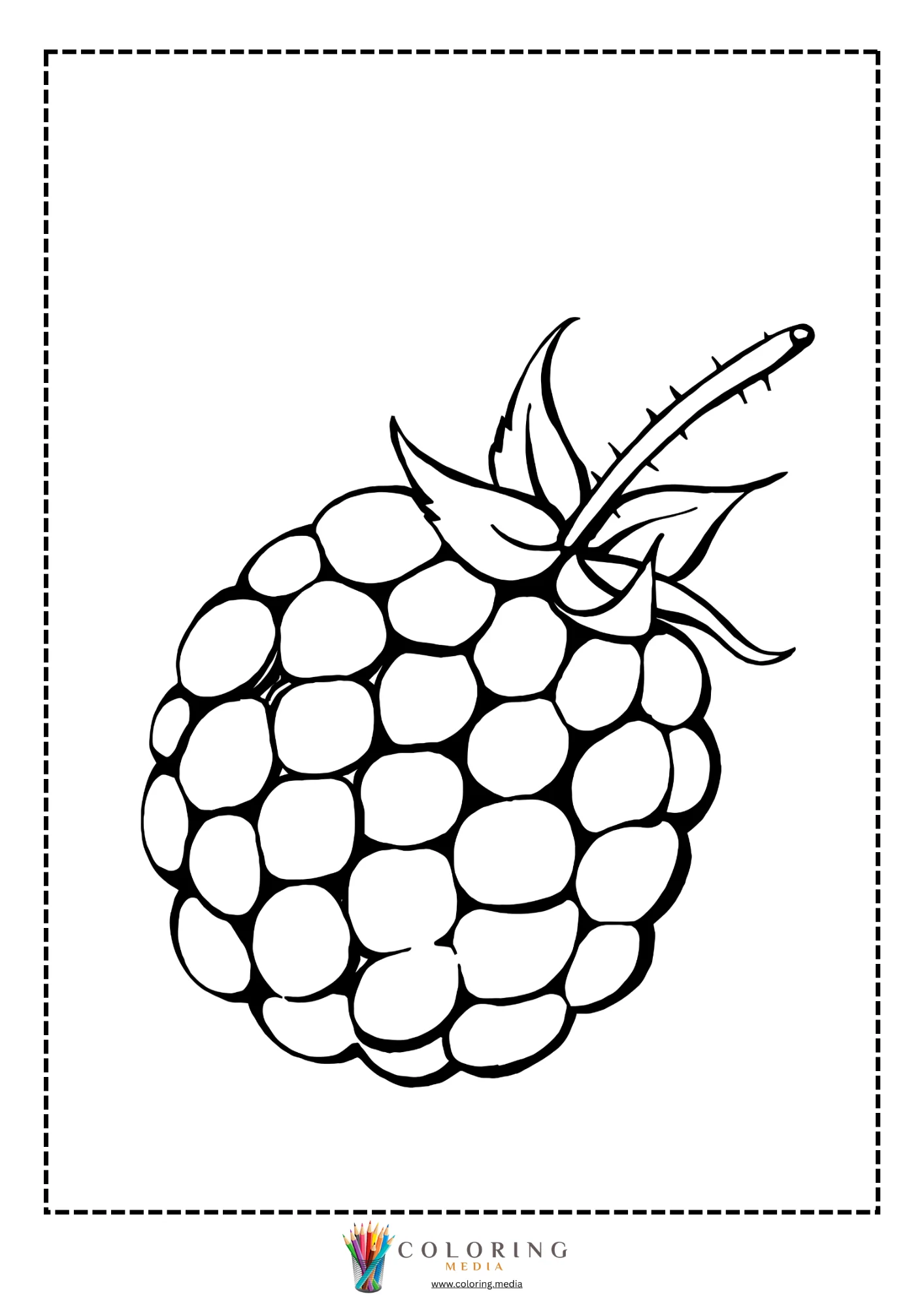 Raspberry with leafy stem