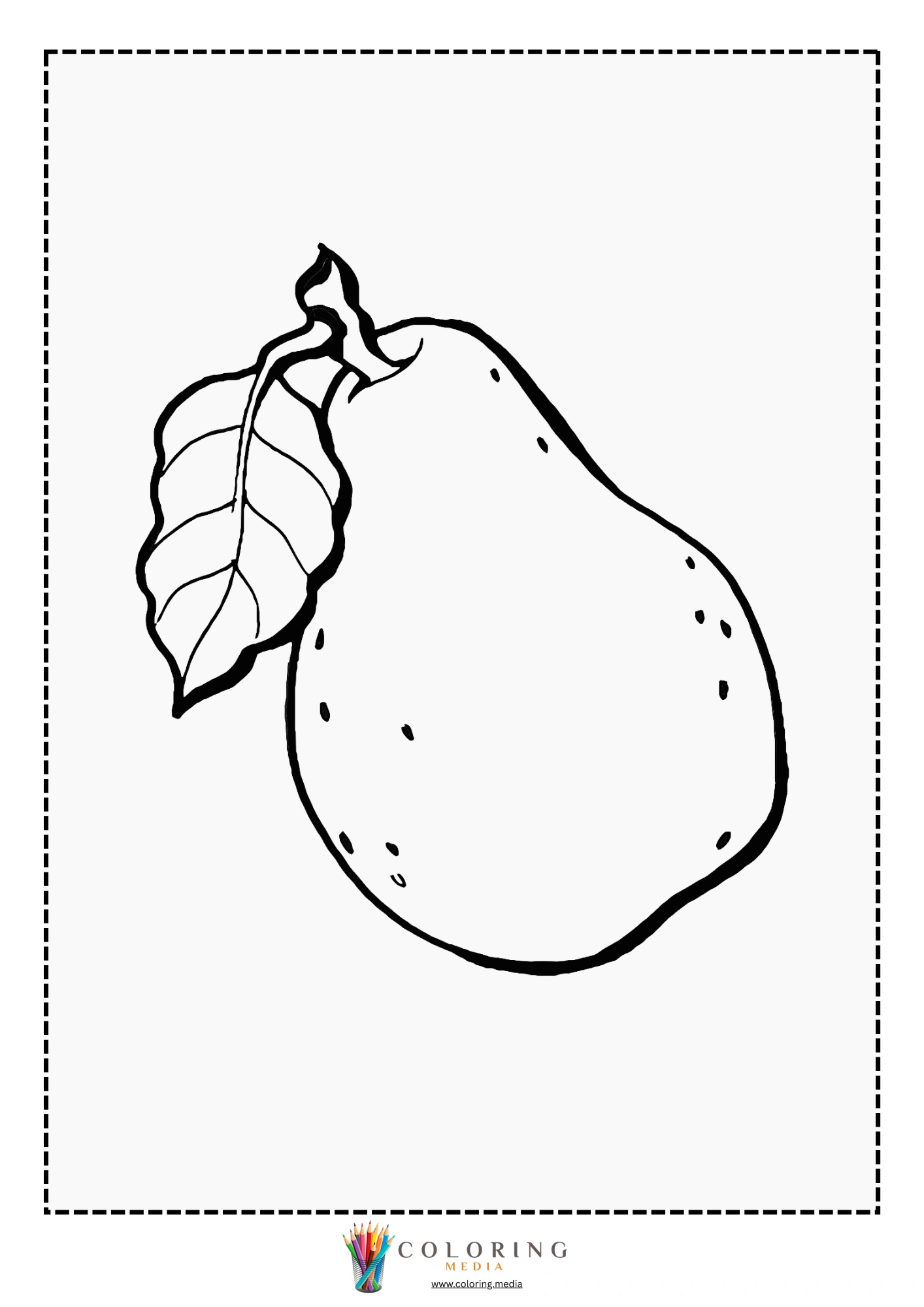 Pear fruit with attached leaf