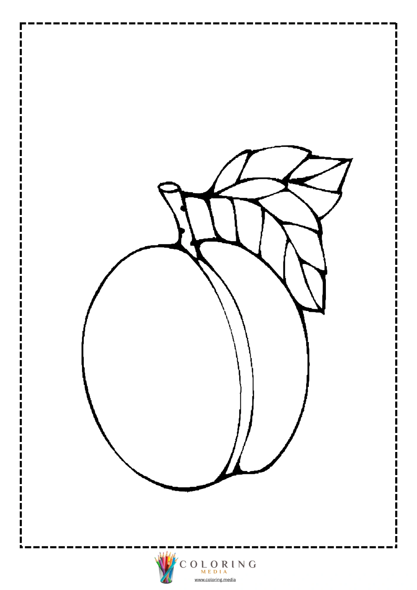 Peach with stem and leaves