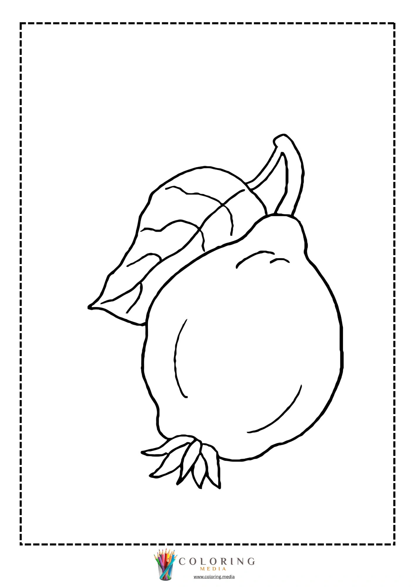 Lemon fruit with leaf and blossom