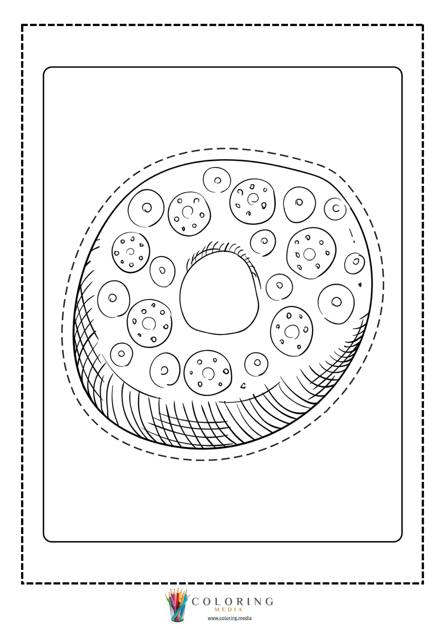 Donut with striped icing top
