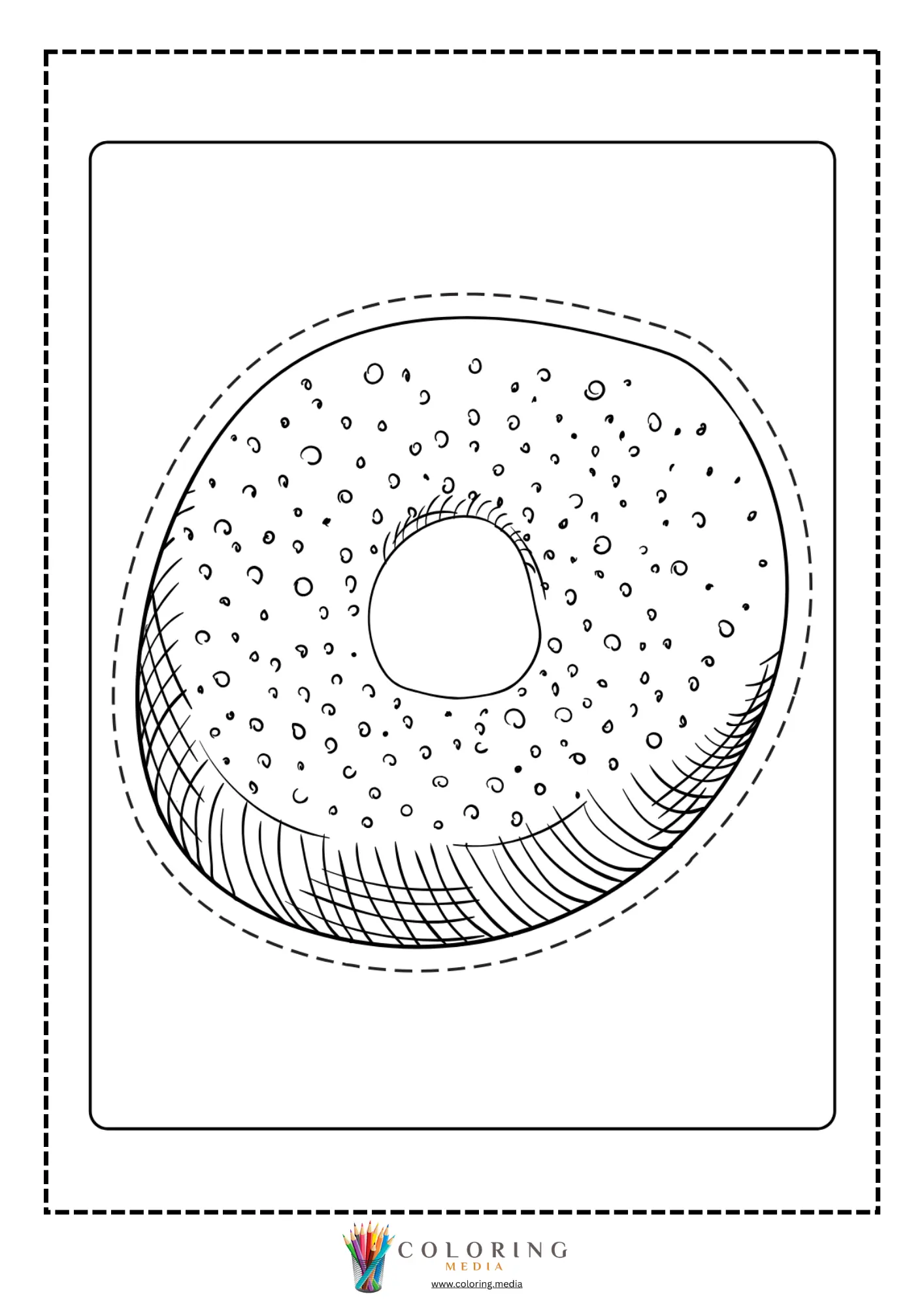 Donut with tiny round sprinkles