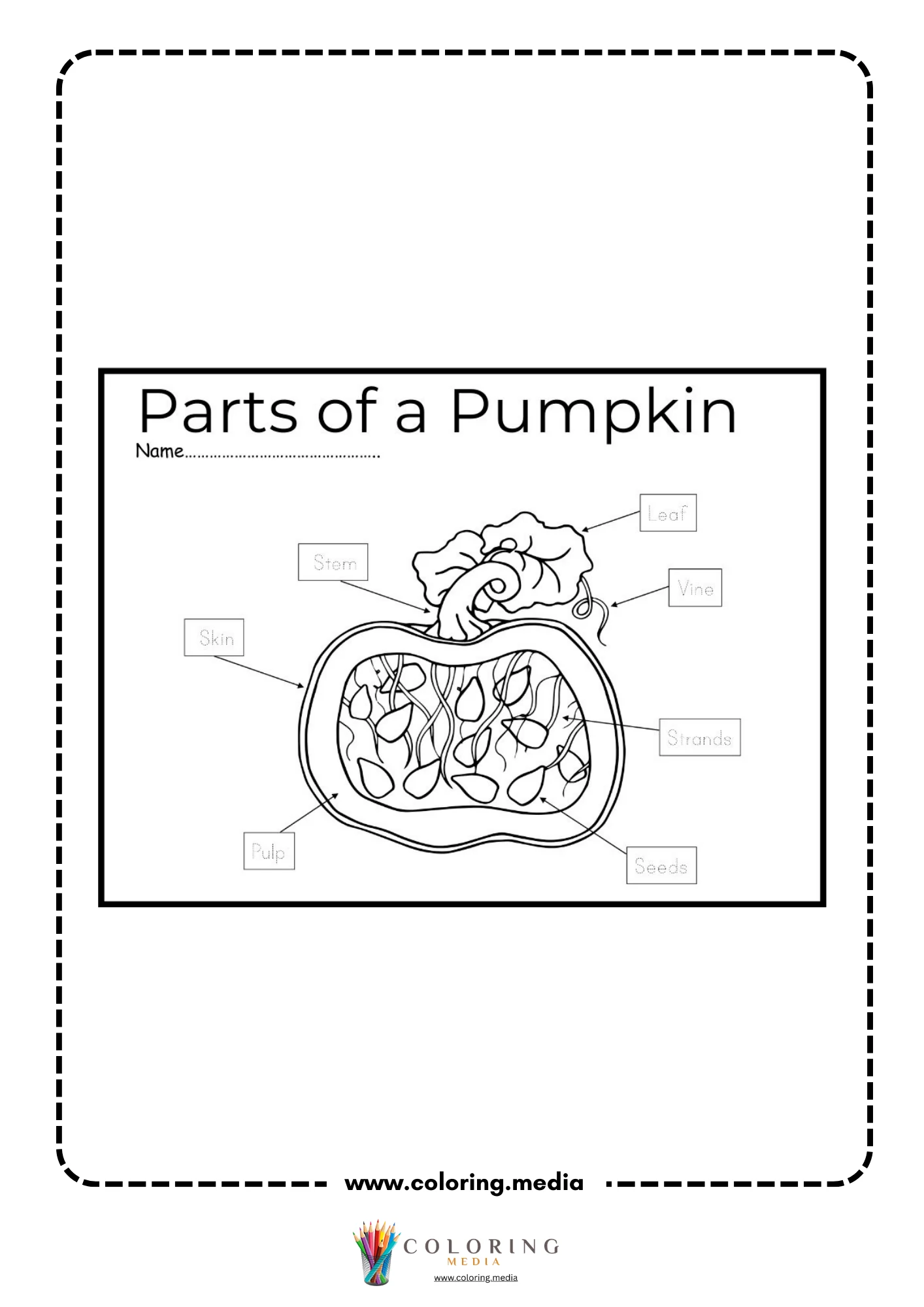 Parts of a pumpkin tracing worksheet