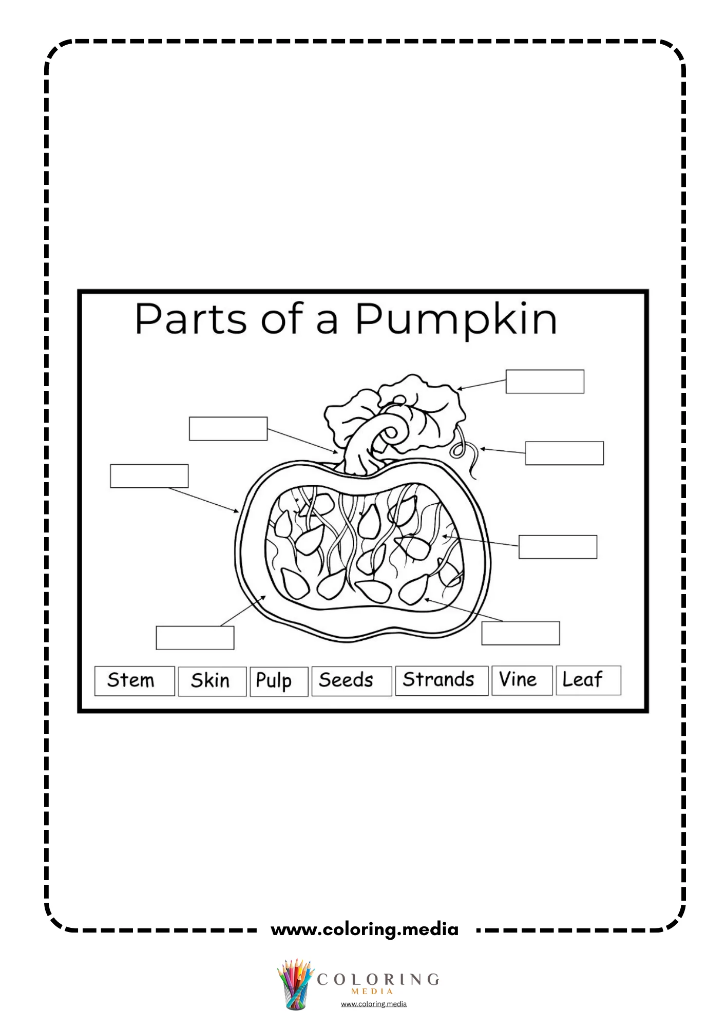 Parts of a pumpkin blank labeling worksheet