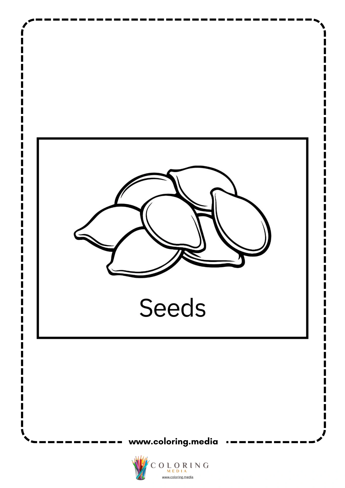 Pumpkin seeds vocabulary page