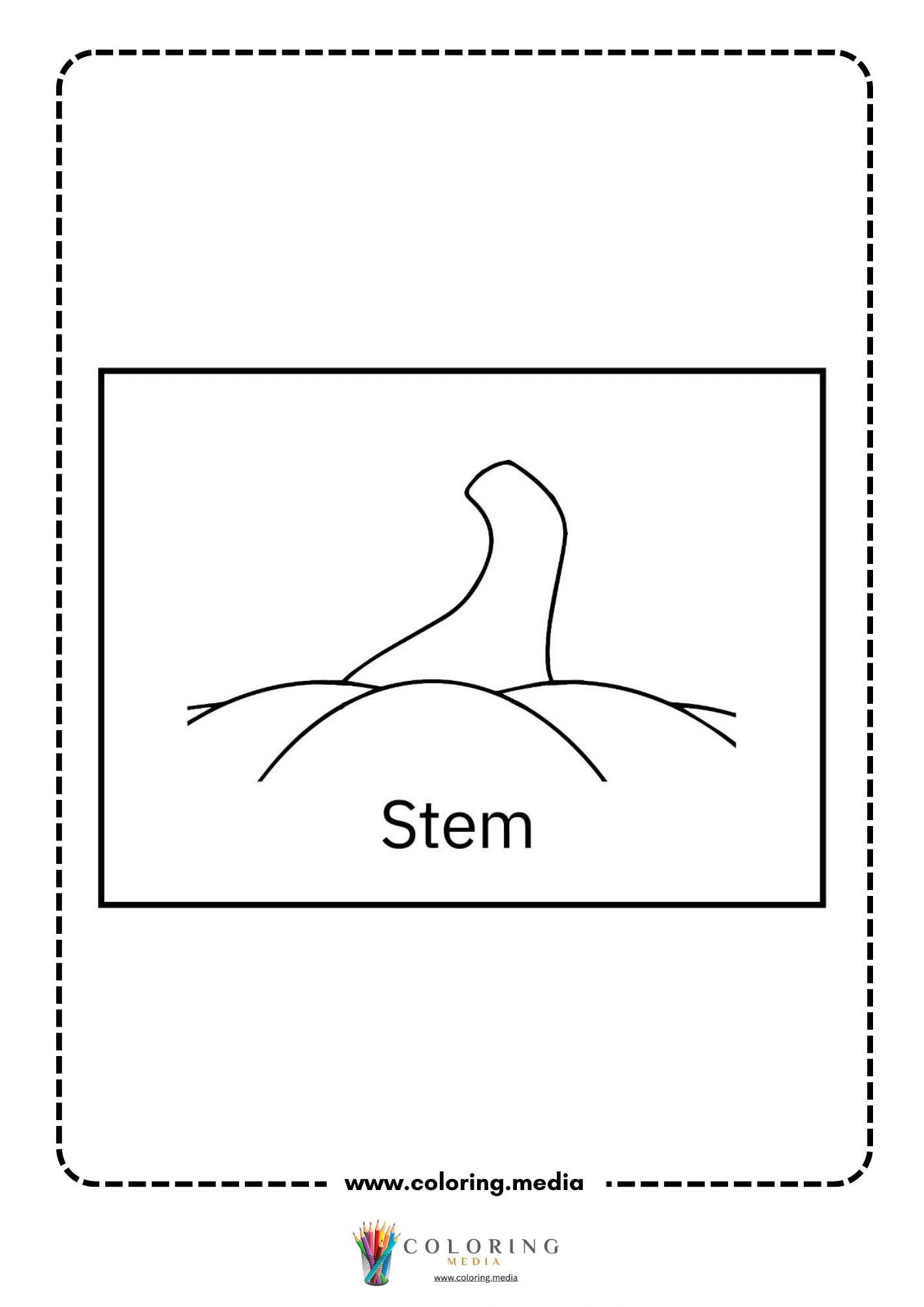 Pumpkin stem vocabulary page