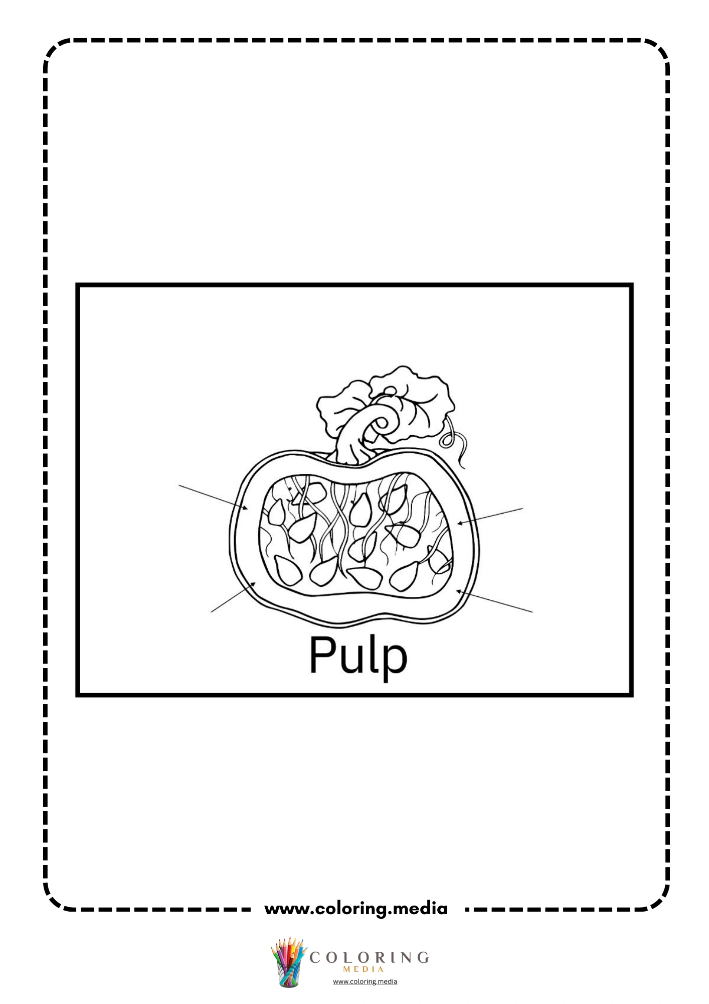 Pumpkin pulp vocabulary page