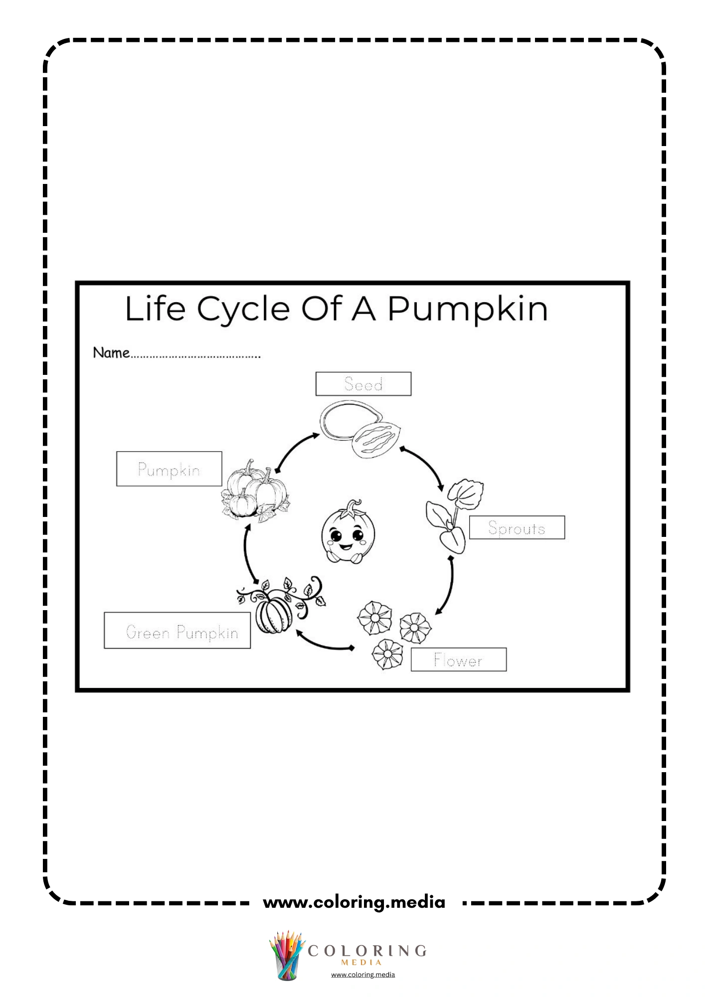 Pumpkin life cycle tracing worksheet