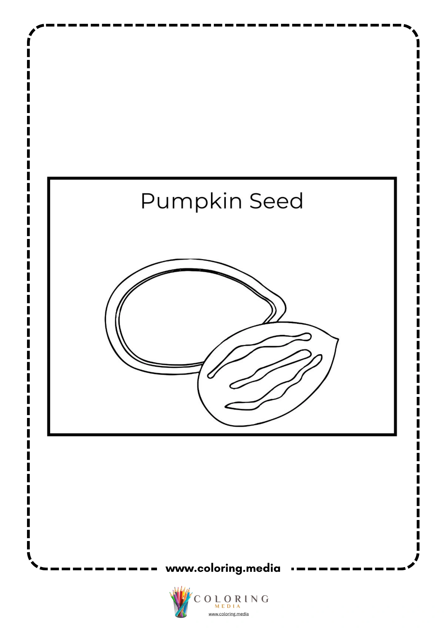 Pumpkin seed vocabulary page