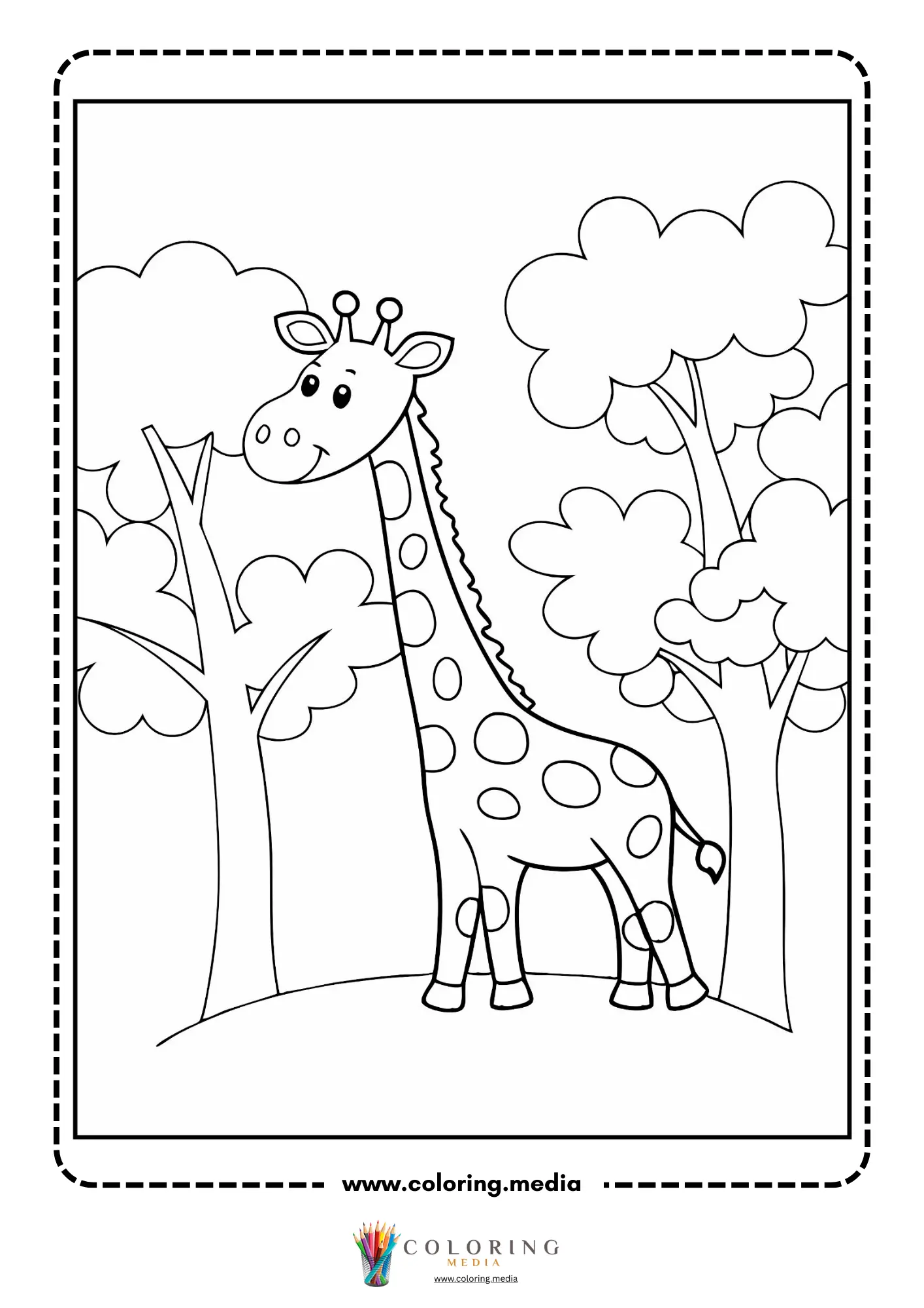Giraffe standing among savanna trees