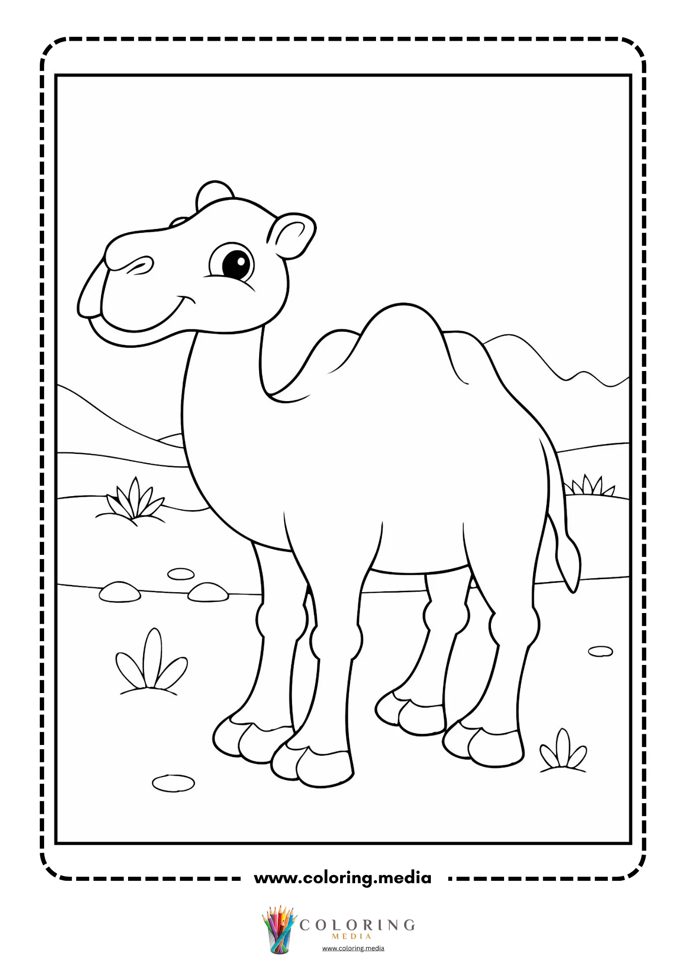 Camel standing in a sandy desert