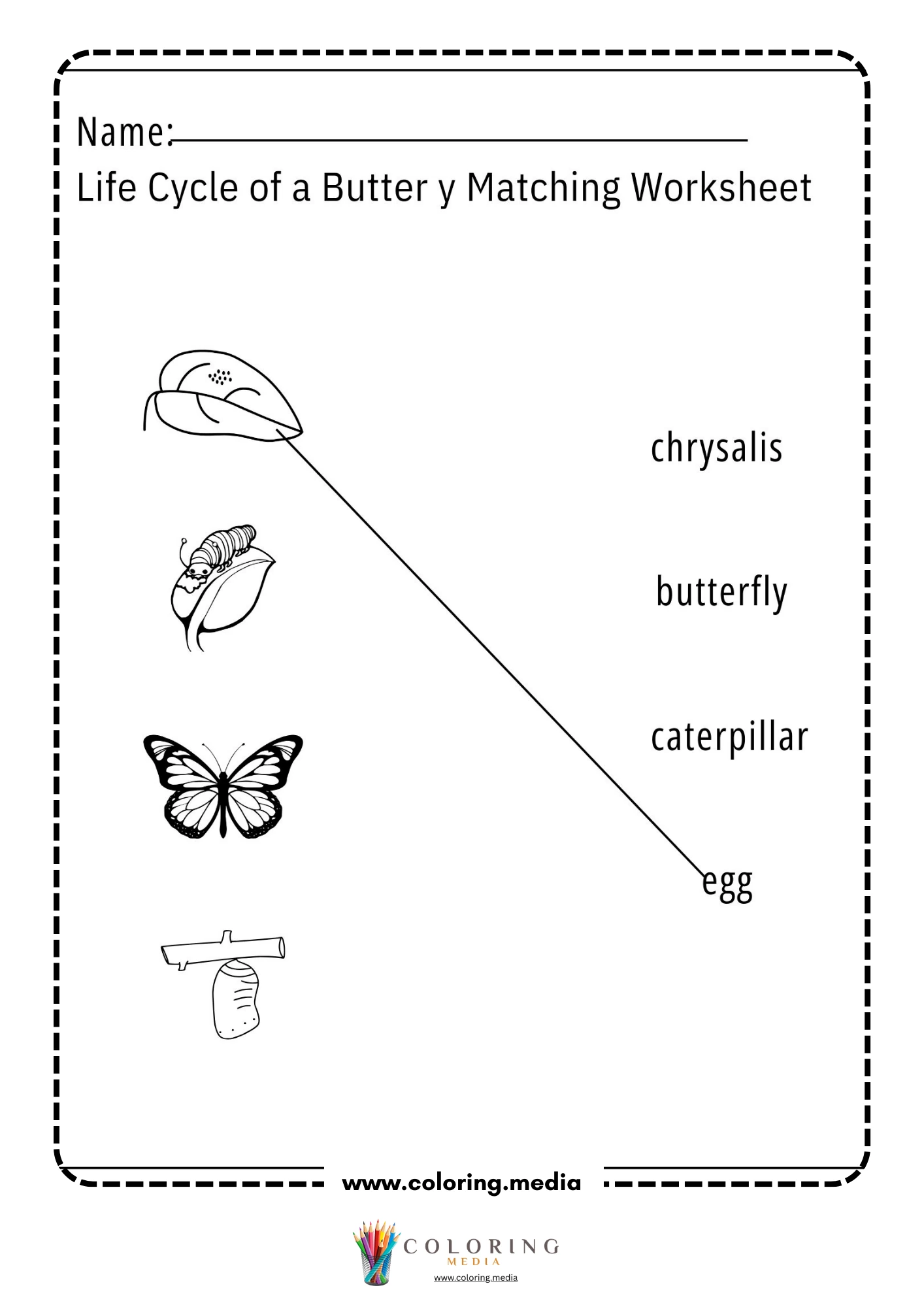 Butterfly matching lines worksheet
