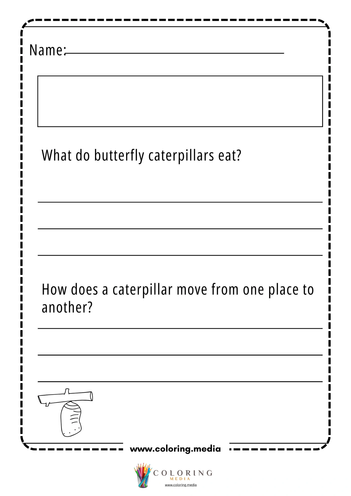 Butterfly caterpillar questions