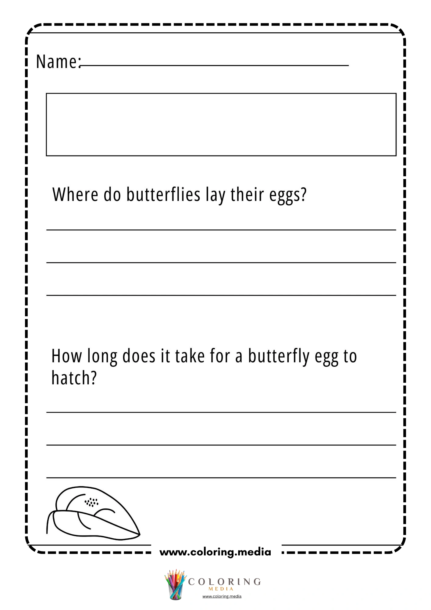 Butterfly egg questions