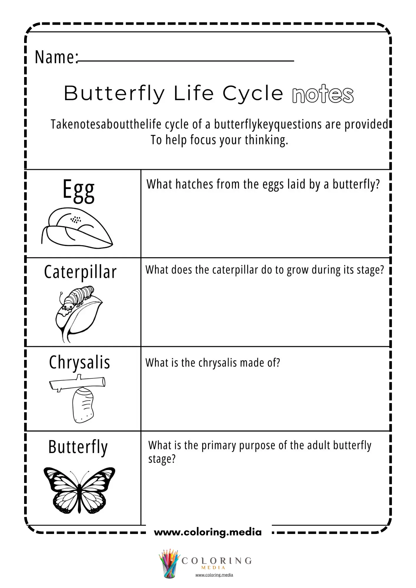 Butterfly life cycle notes