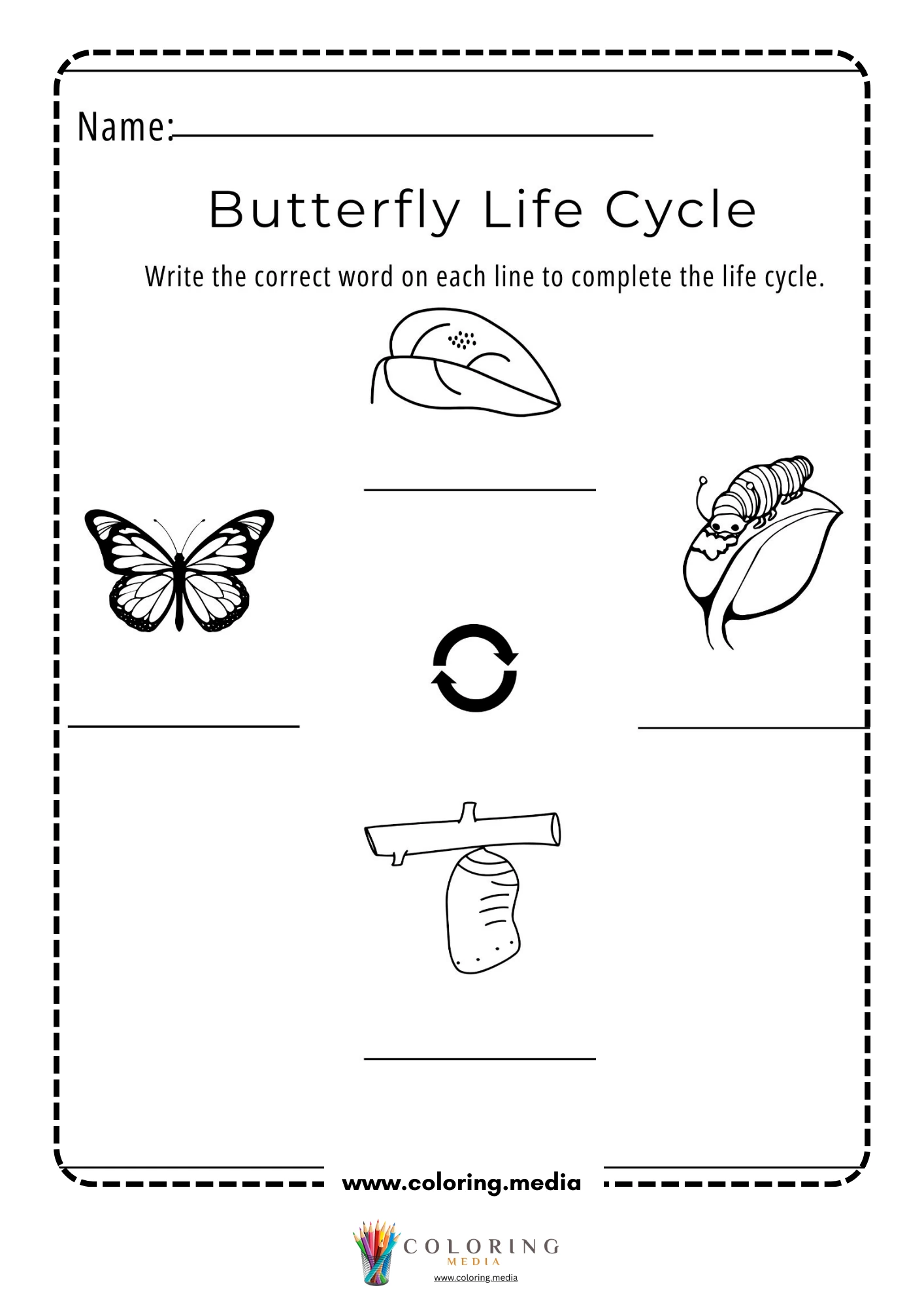 Butterfly life cycle write words
