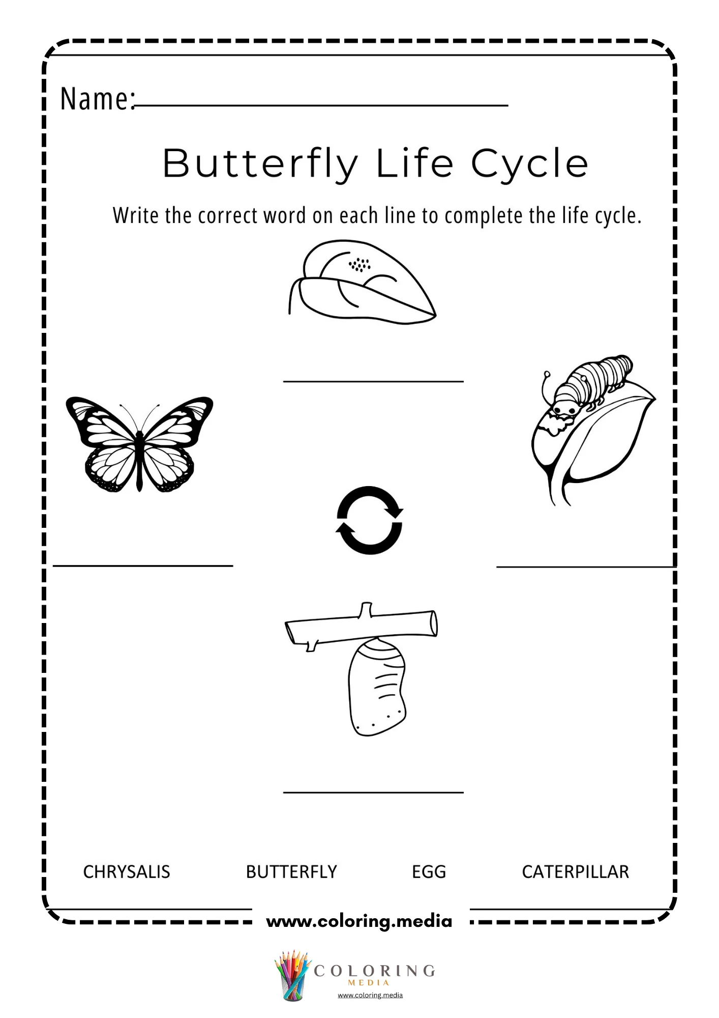 Butterfly life cycle word bank