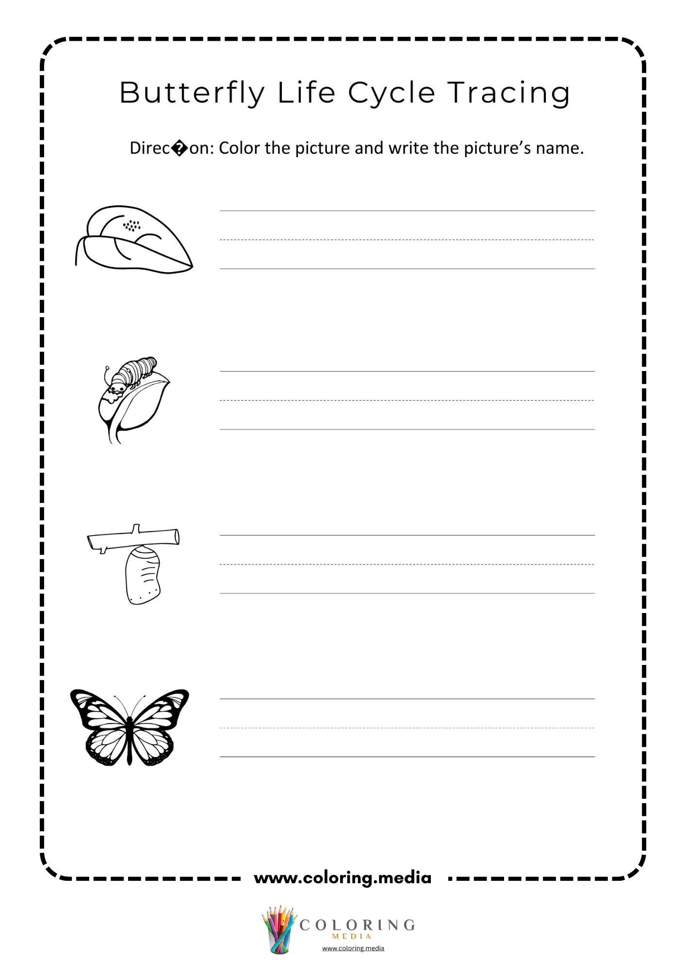 Butterfly life cycle tracing