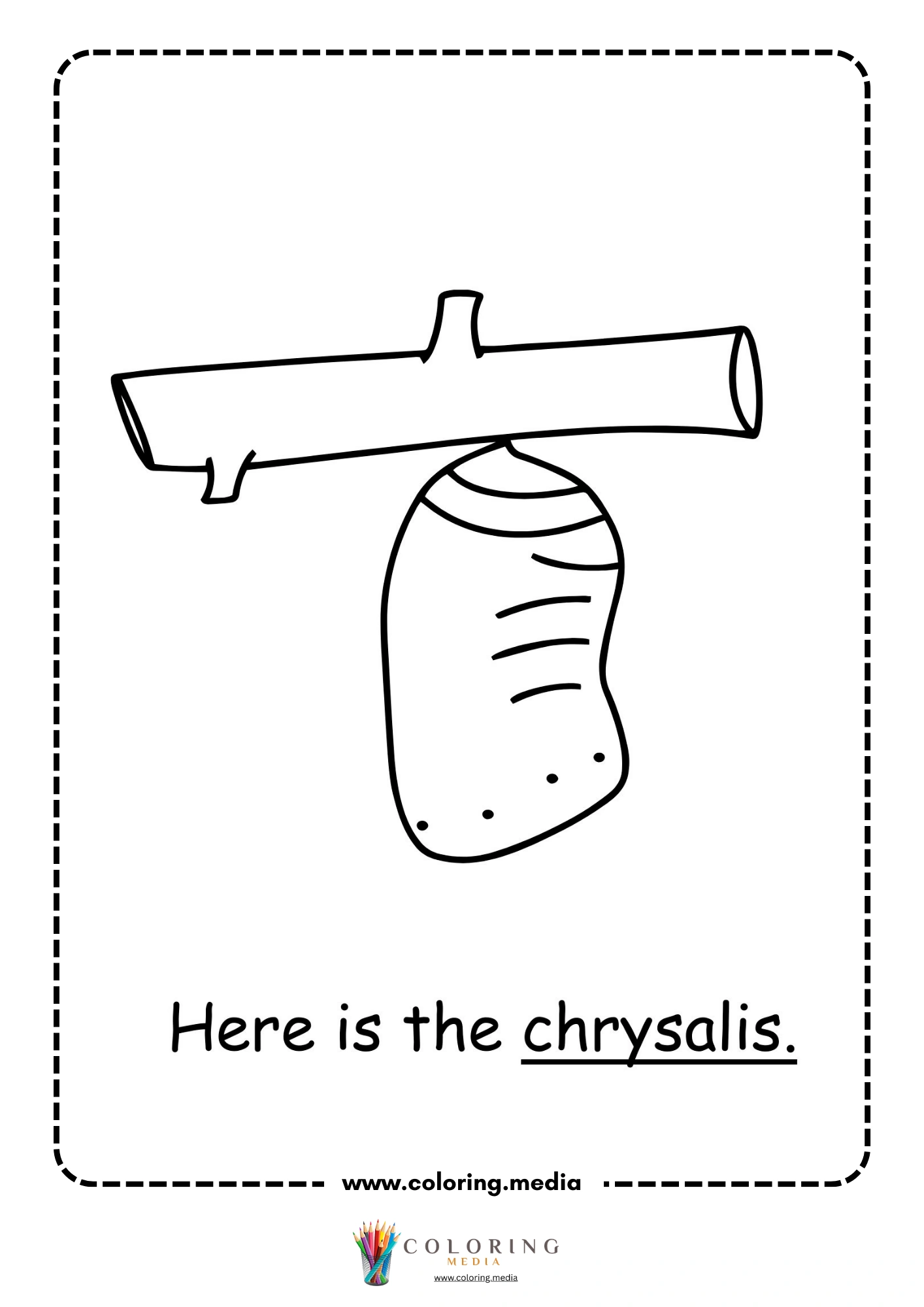 Here is the chrysalis worksheet